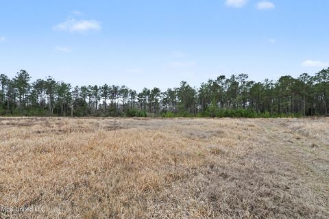 Vacant Land For Sale - 20.5 ACRES Highway 98<br/> Lucedale, MS 39452