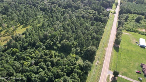 Vacant Land For Sale - Old Highway 24<br/> Centreville, MS 39631