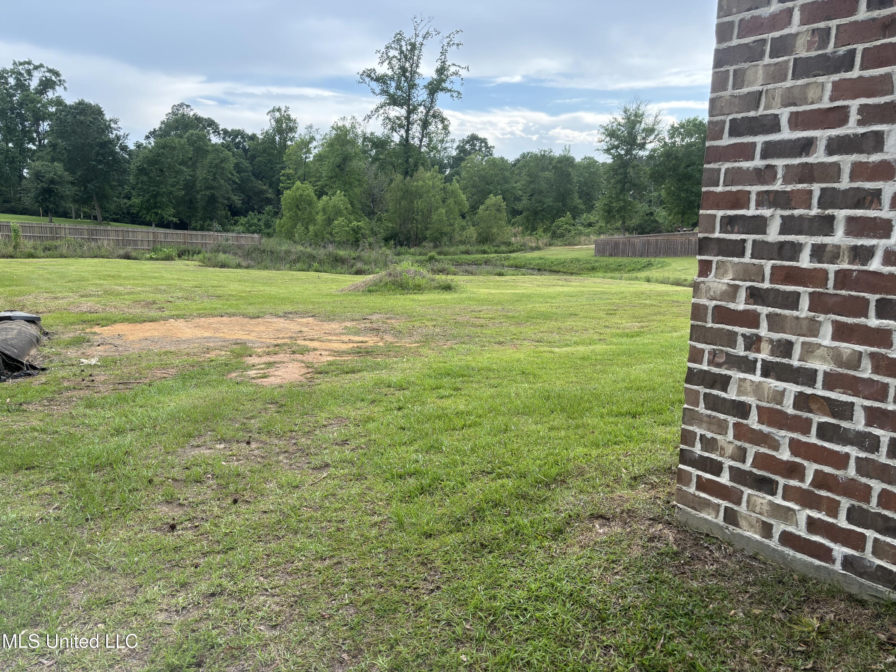 17 Camellia Road, Carriere, Mississippi image 5