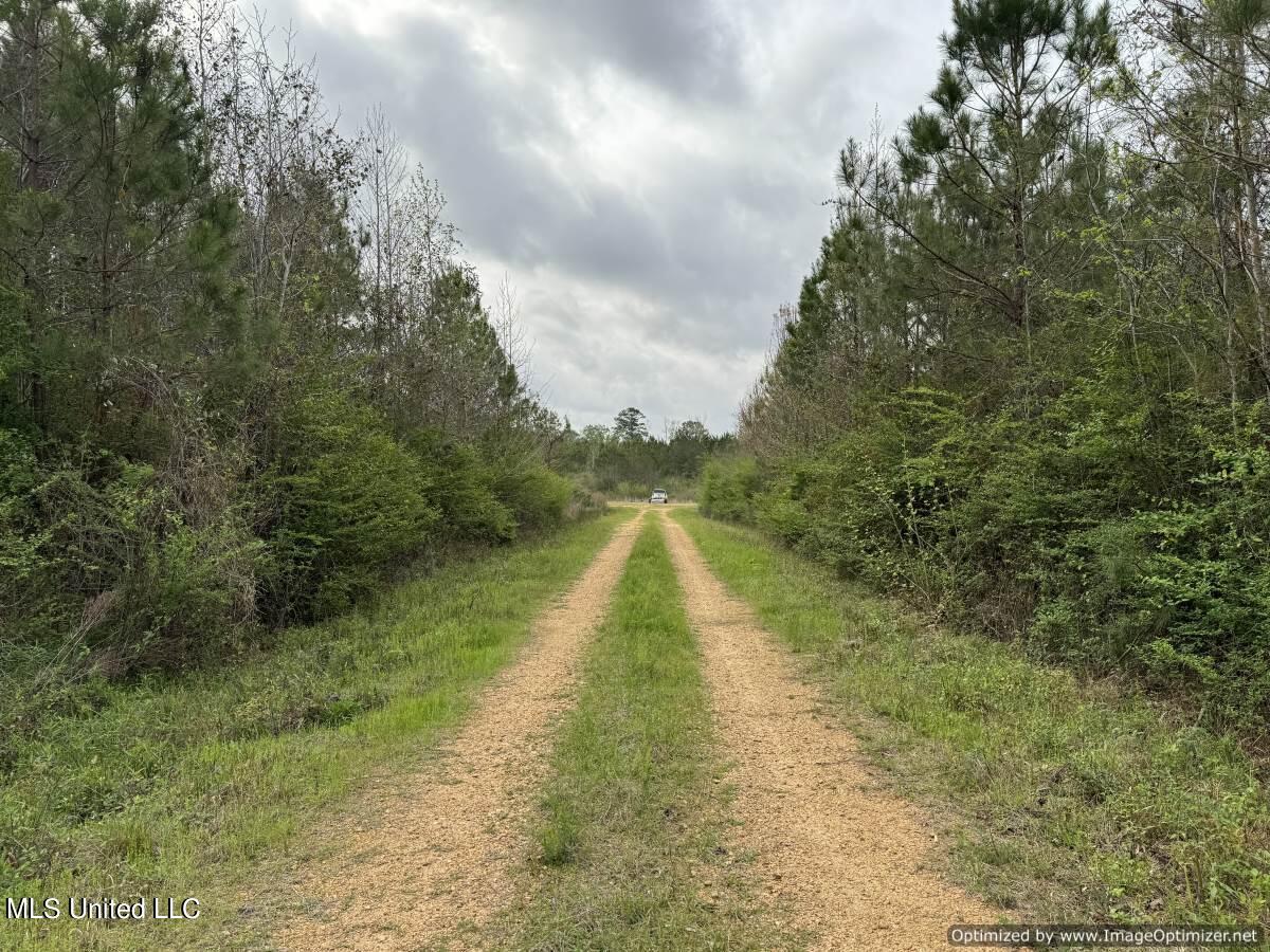 1950a Oakwood Ln, Brookhaven, Mississippi image 7