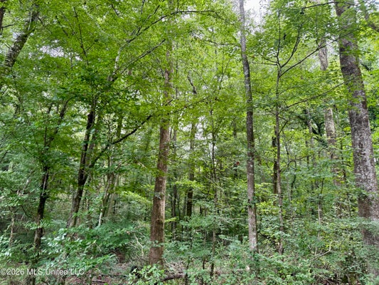 2194 HWY 570 E, SUMMIT, MS 39666 - Image 9d48b2bfc458d45d874fee7df2789a09/486201817
