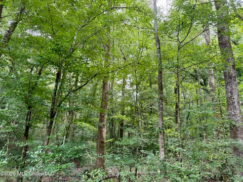 Vacant Land For Sale - 2194 Mississippi 570<br/> Summit, MS 39666