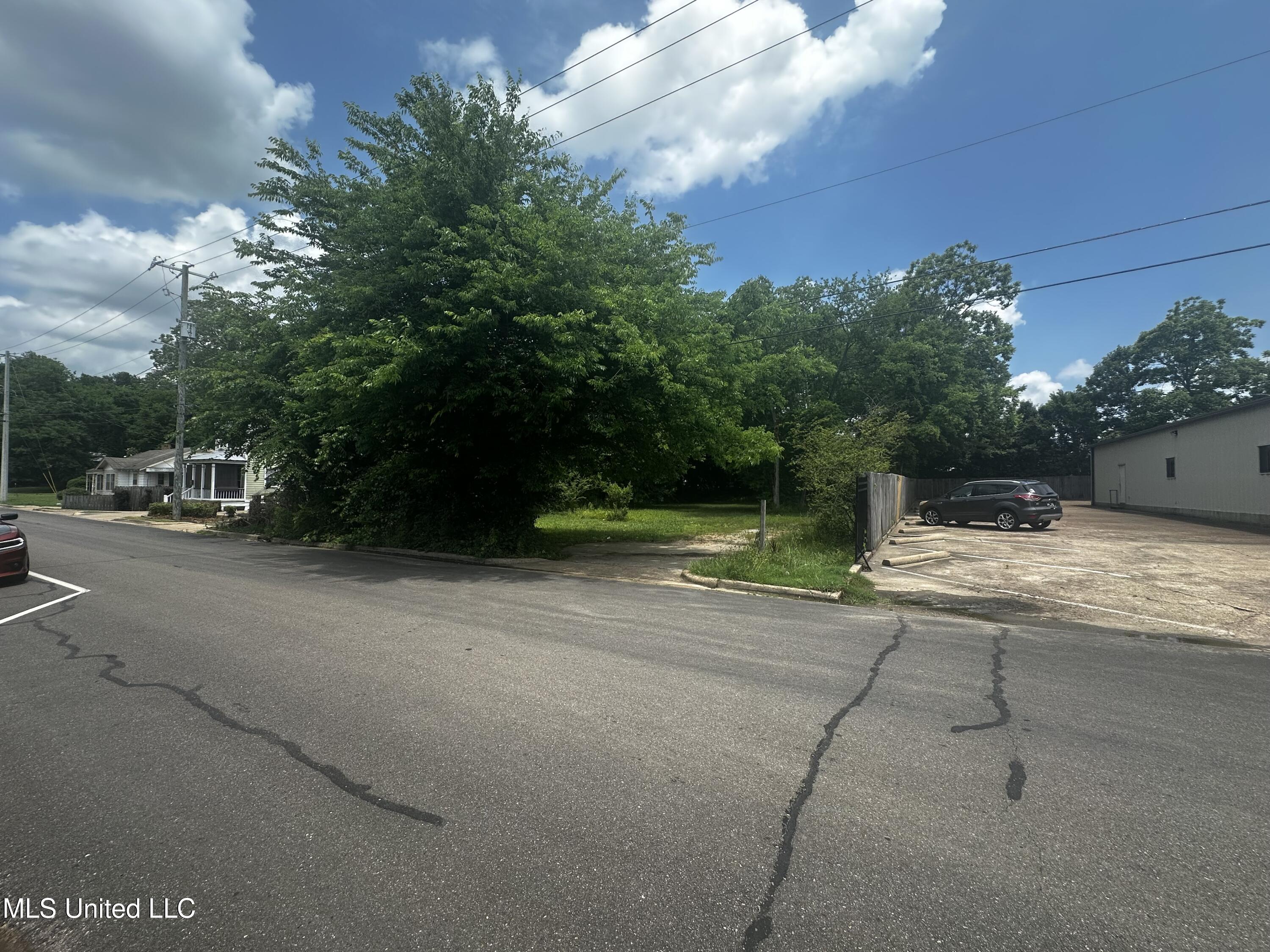 633 Vine Street, Starkville, Mississippi image 5