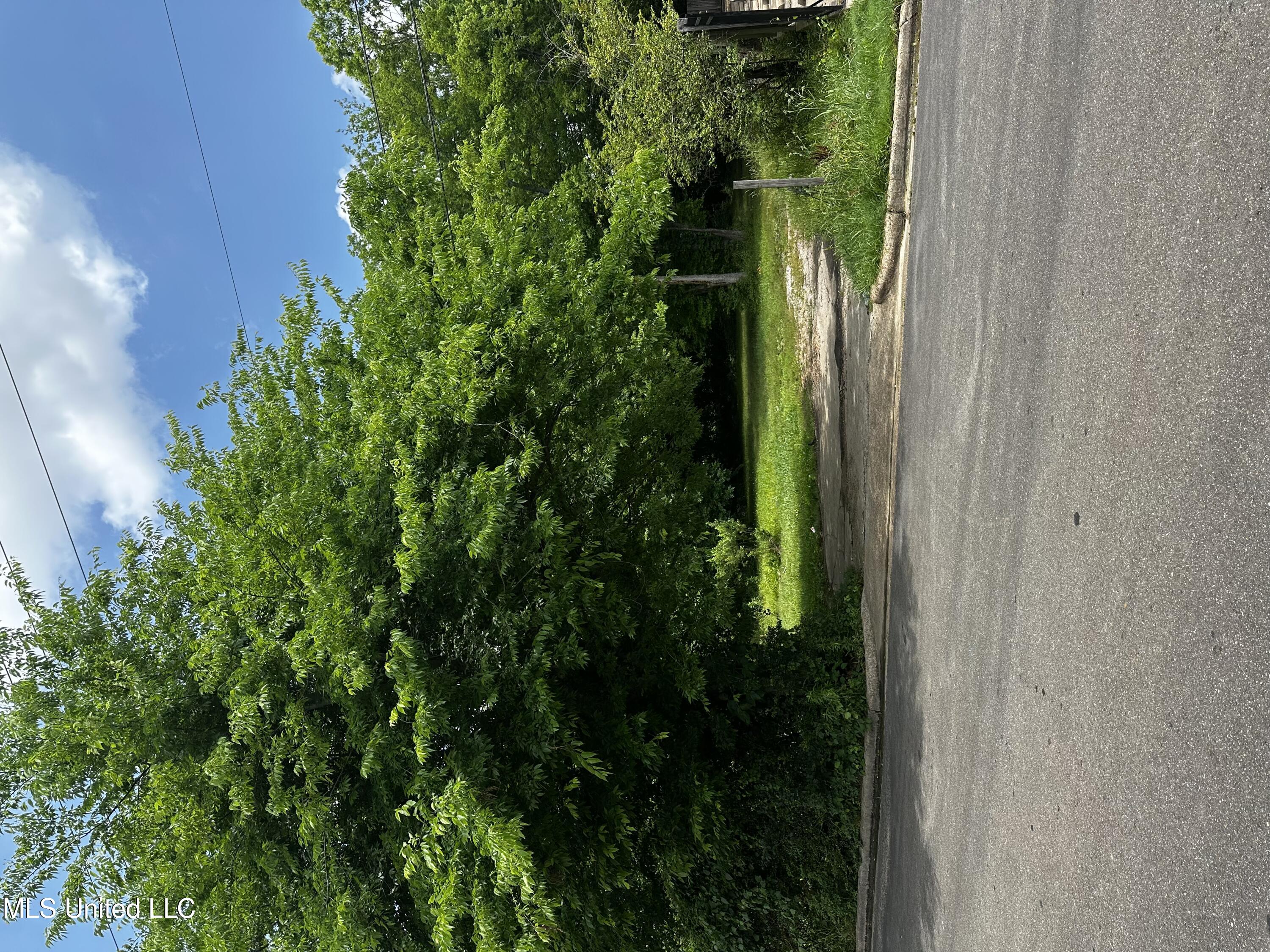 633 Vine Street, Starkville, Mississippi image 1