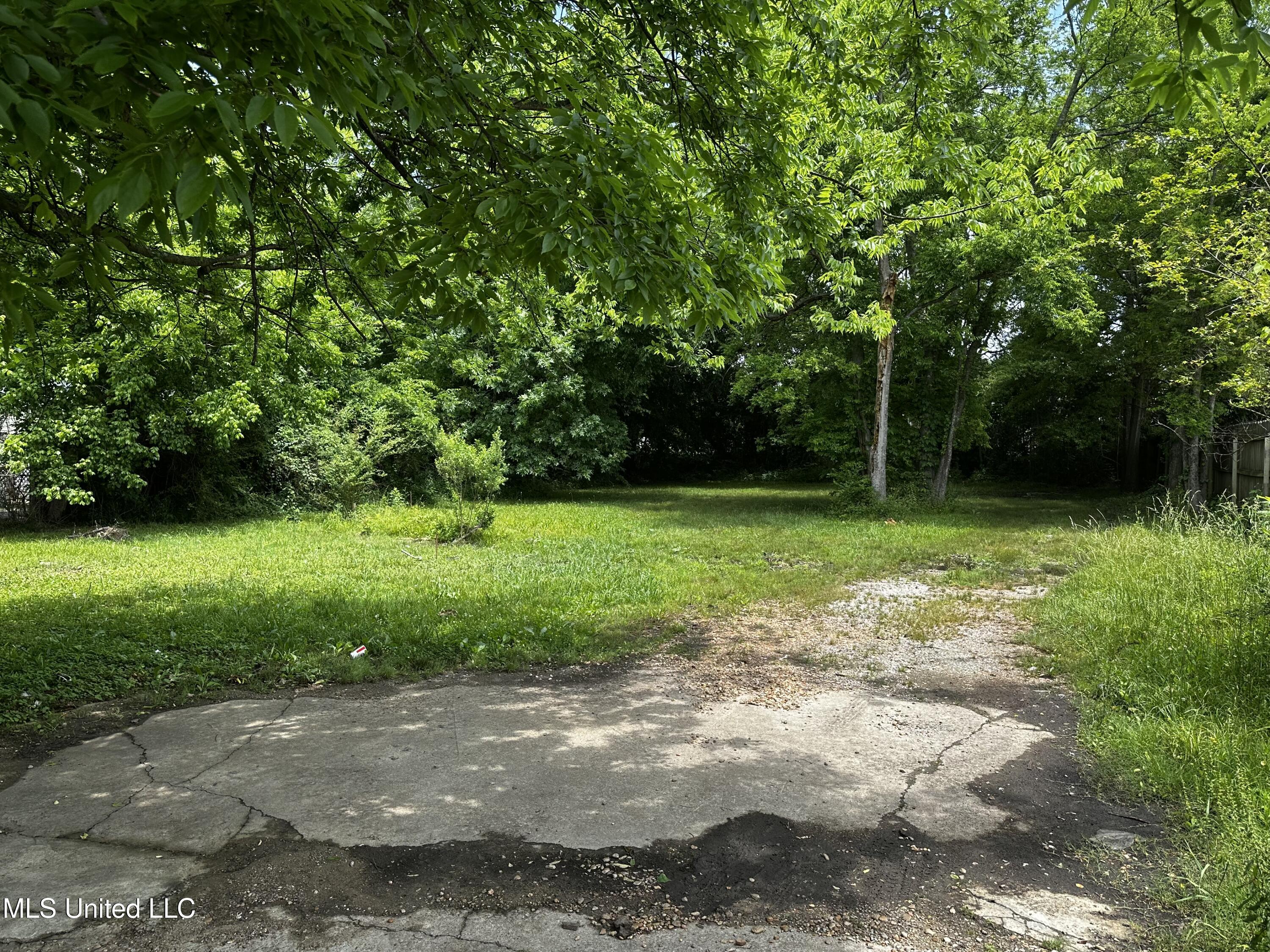 633 Vine Street, Starkville, Mississippi image 7