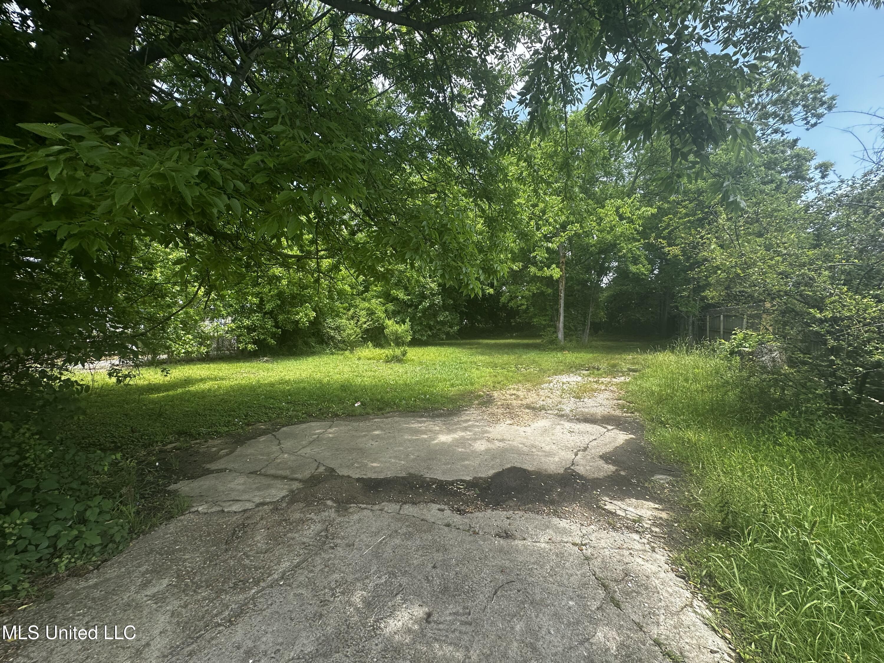 633 Vine Street, Starkville, Mississippi image 6