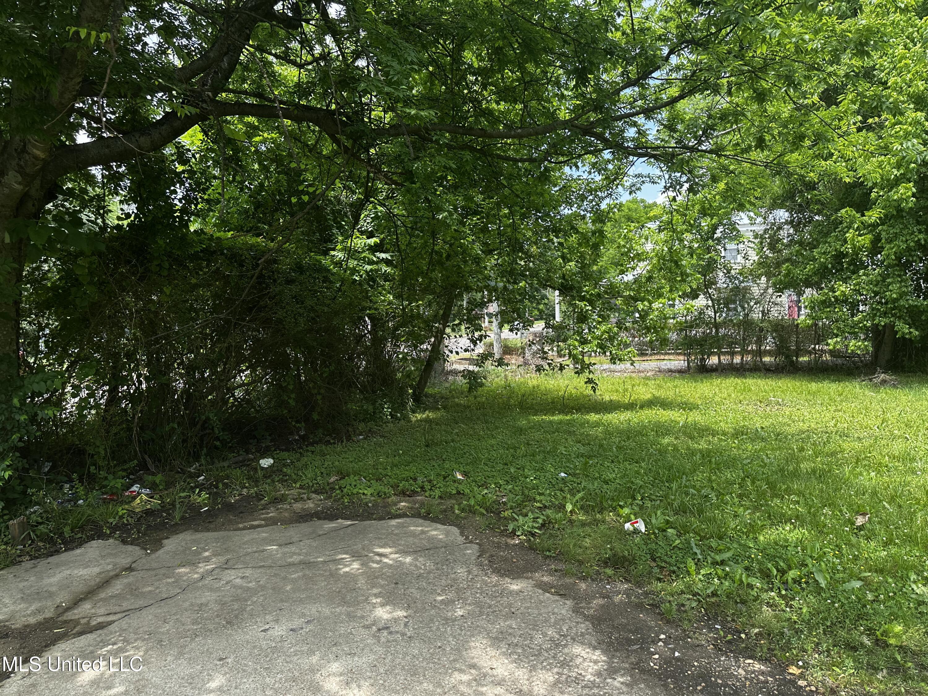633 Vine Street, Starkville, Mississippi image 10