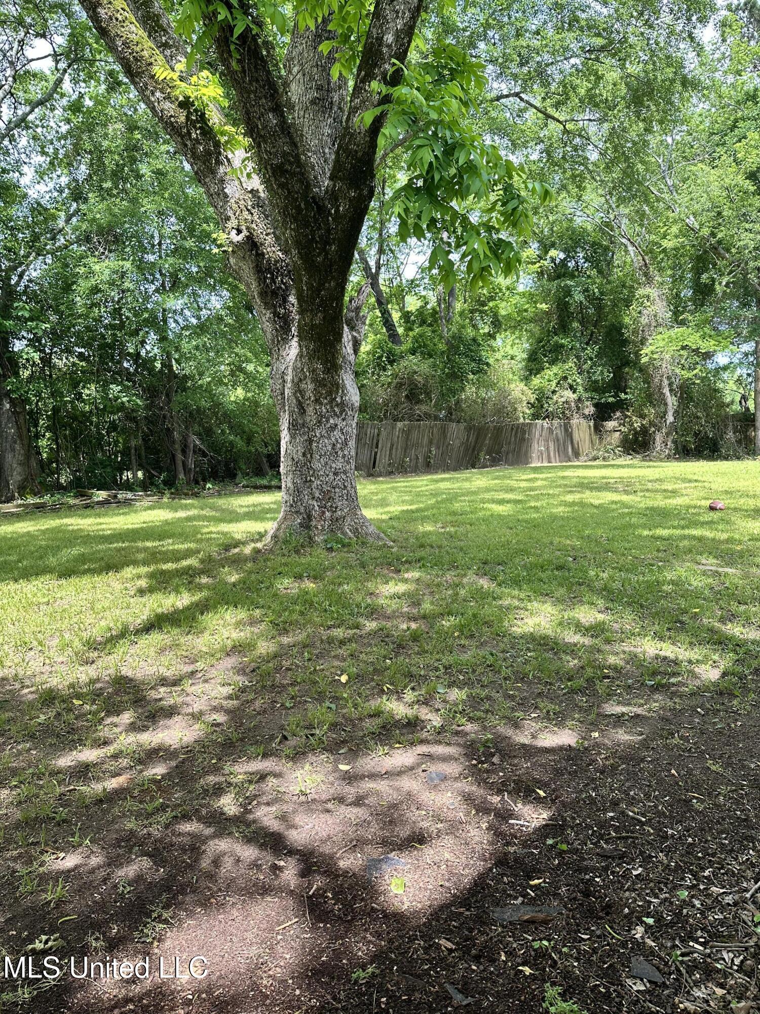 1420 S 9th Avenue, Columbus, Mississippi image 21