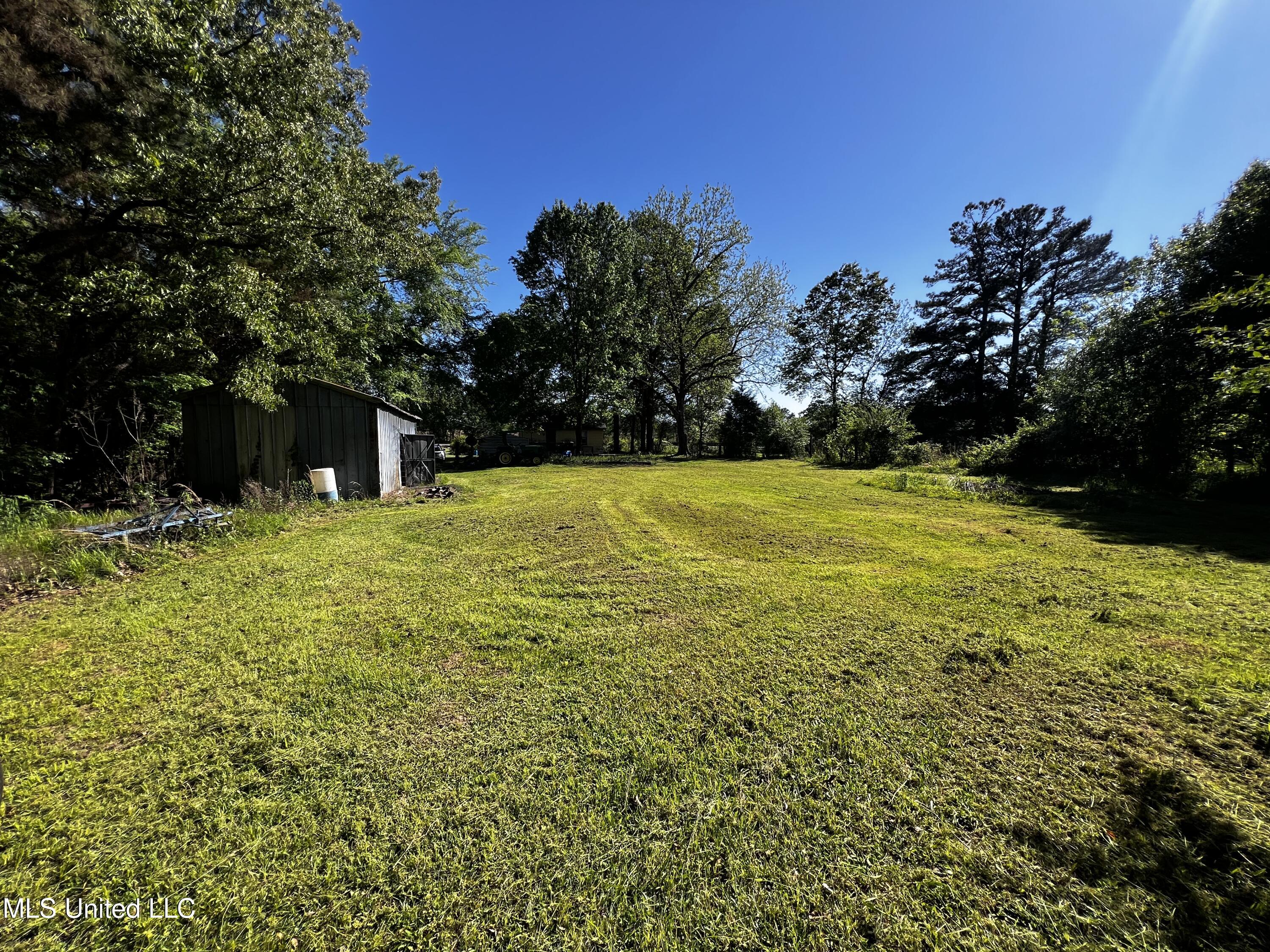 4595 Lucius Taylor Road, Como, Mississippi image 9