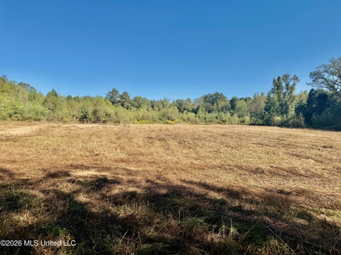 Vacant Land For Sale - Williams Road<br/> Carthage, MS 39051