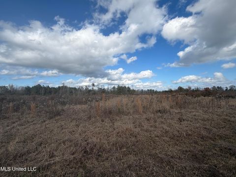 Vacant Land For Sale - Clem Road<br/> Jefferson Davis County, Prentiss, MS 39474