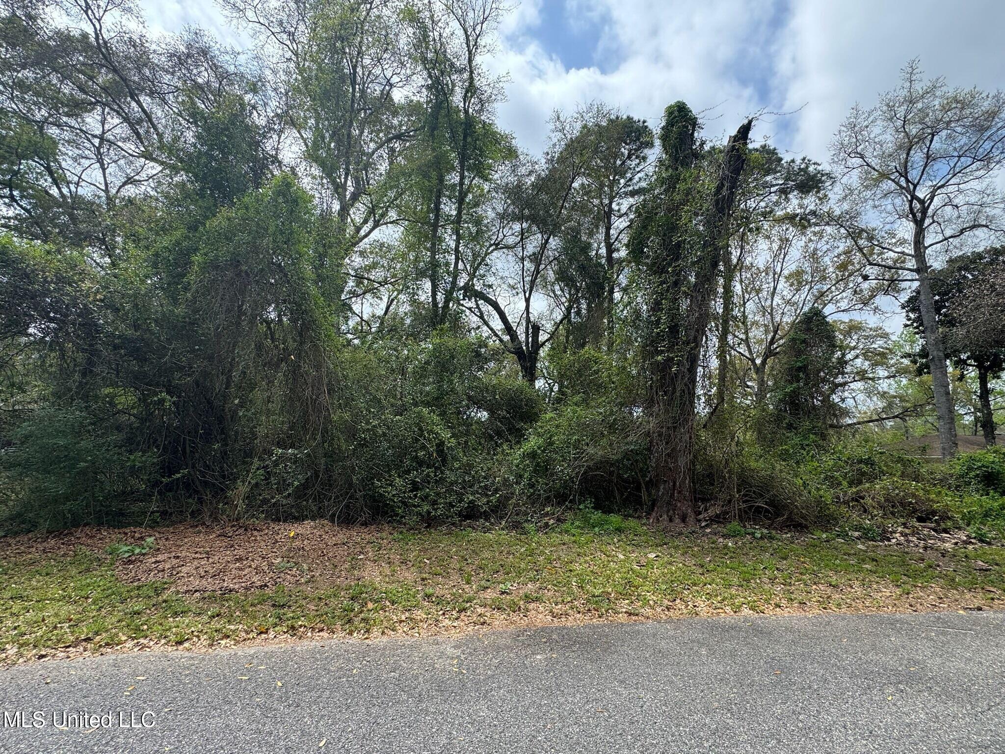 Iowana Drive, Gautier, Mississippi image 3