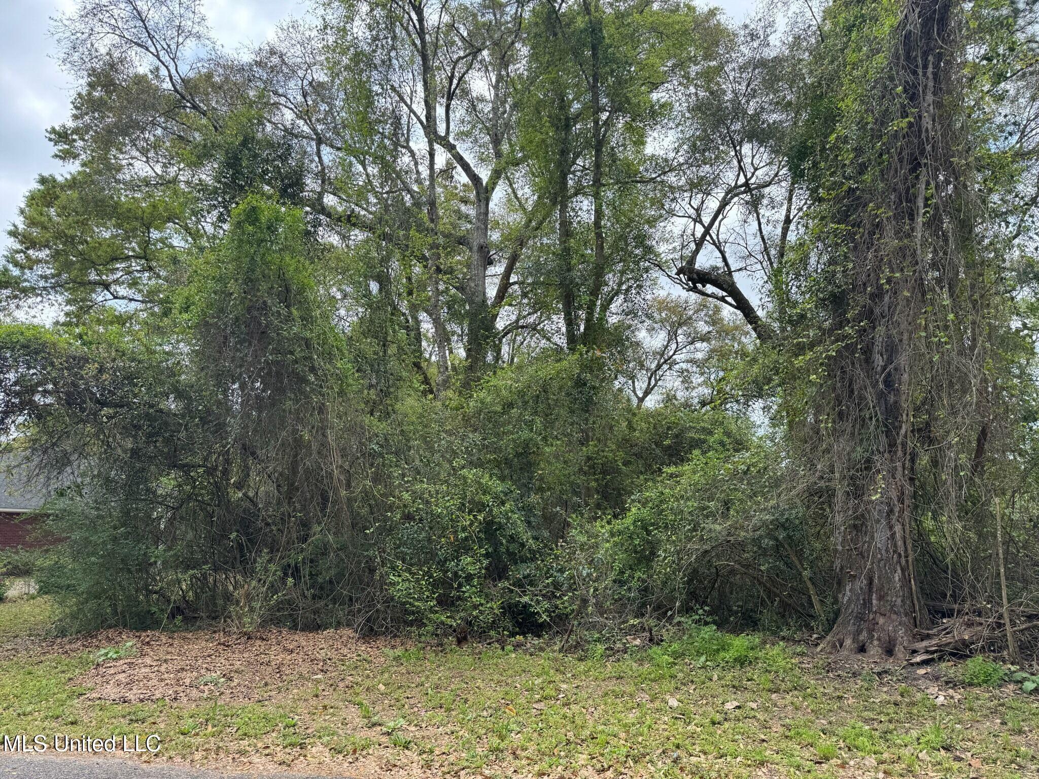Iowana Drive, Gautier, Mississippi image 7