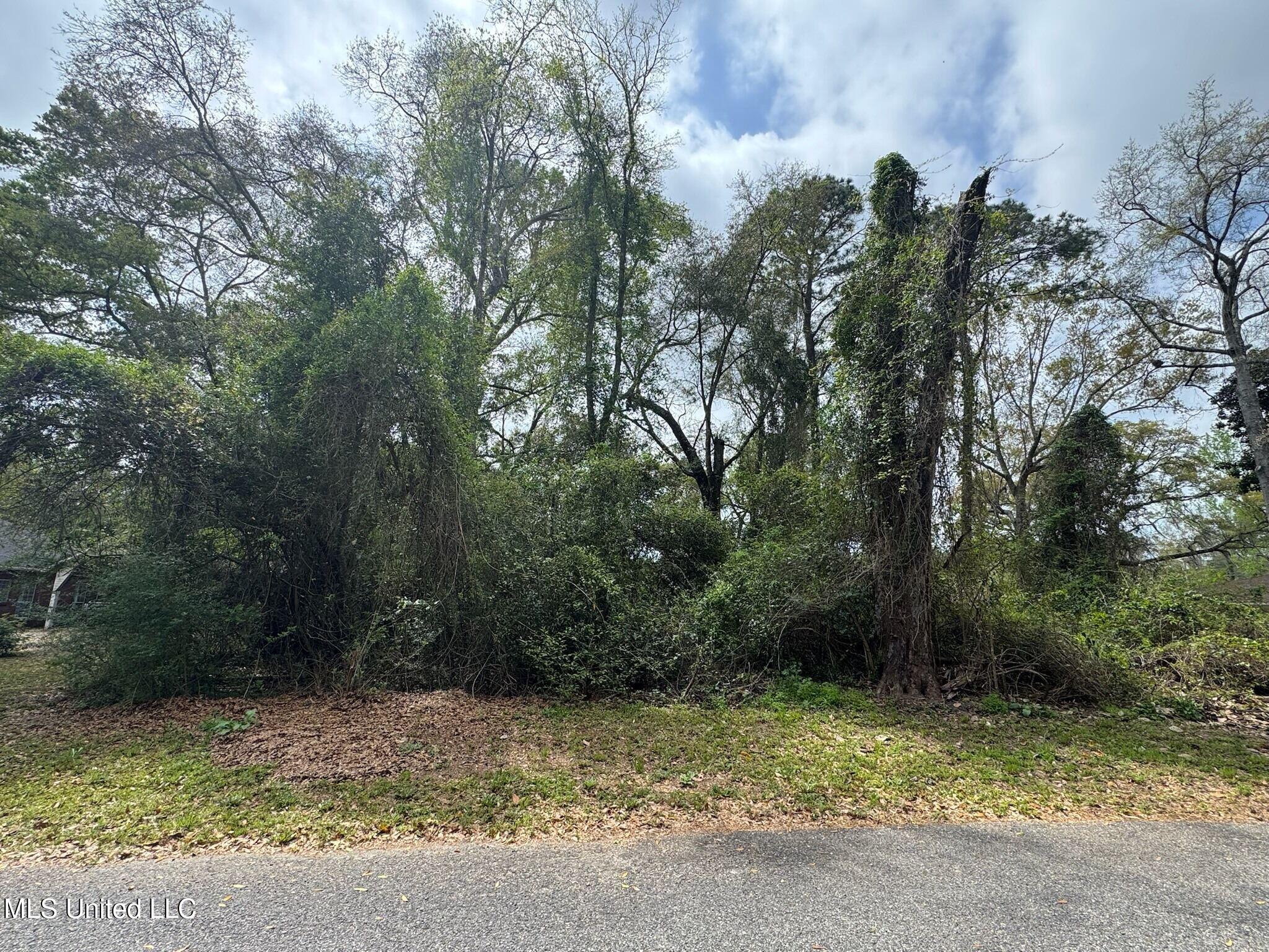 Iowana Drive, Gautier, Mississippi image 2