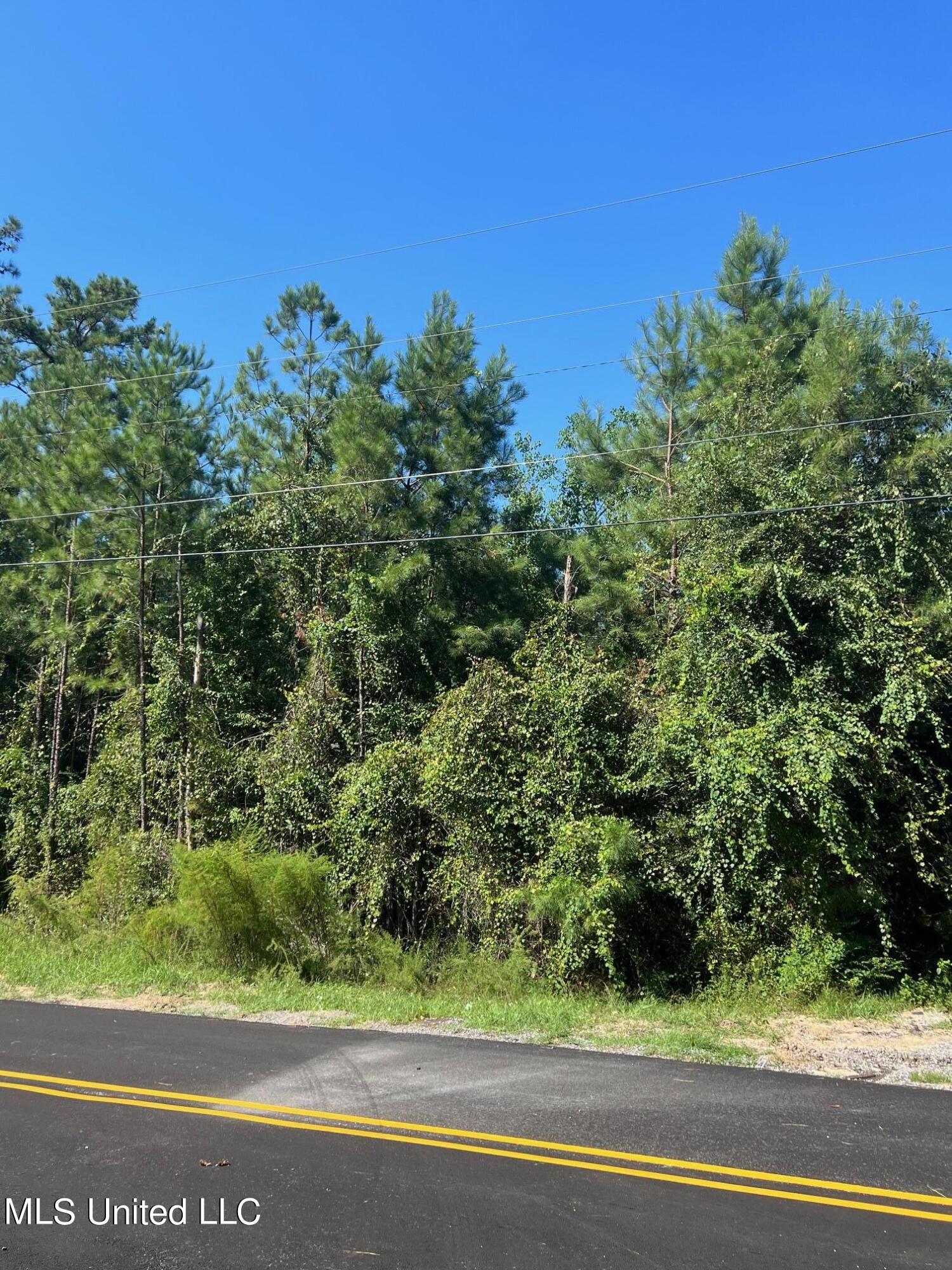 Bayou Drive, Diamondhead, Mississippi image 3