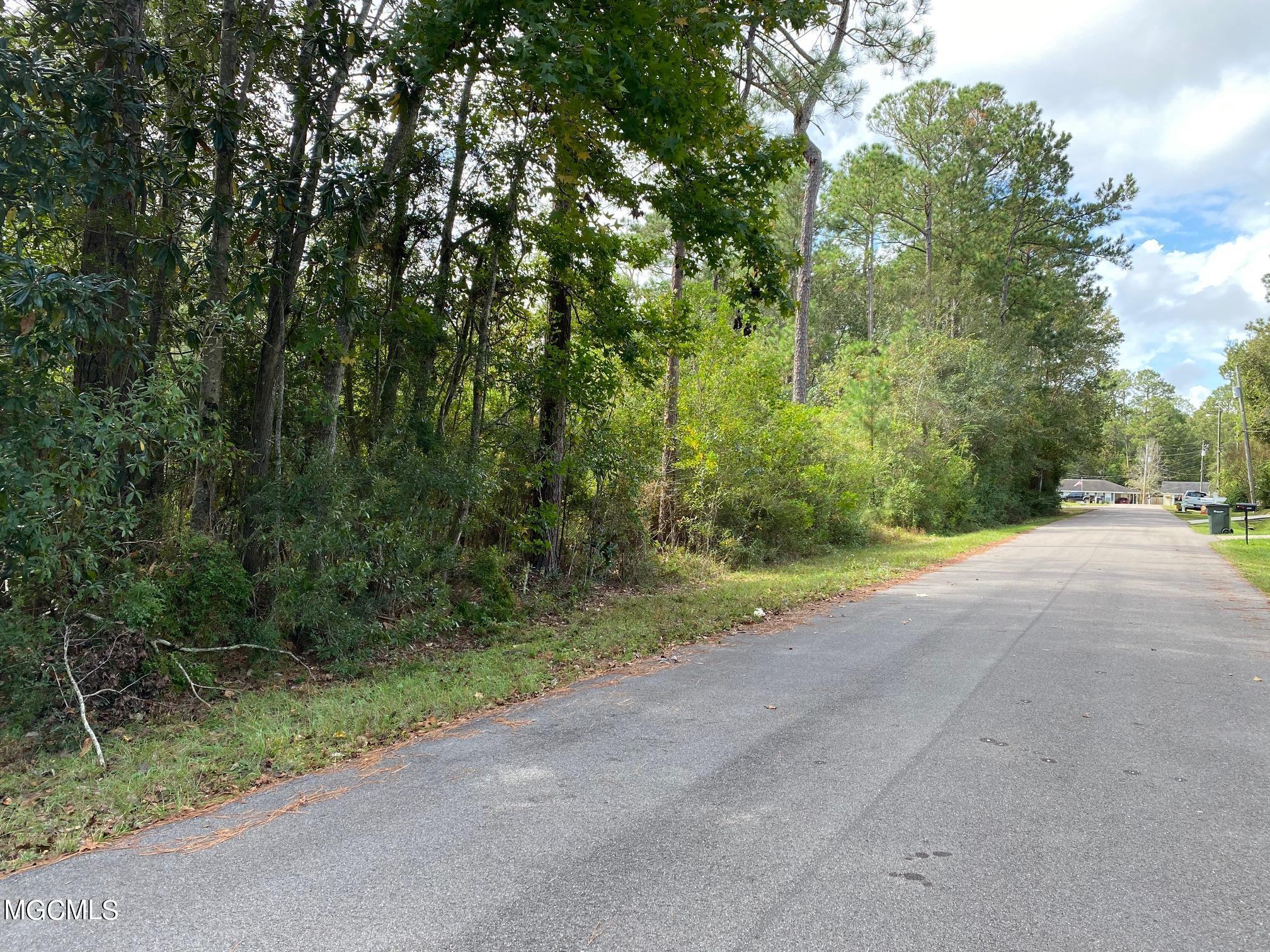 Shawnee Street, Kiln, Mississippi image 5