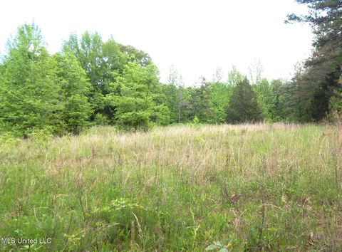 Vacant Land For Sale - 1015 Saulsbury Road<br/> Benton County, Falkner, MS 38629