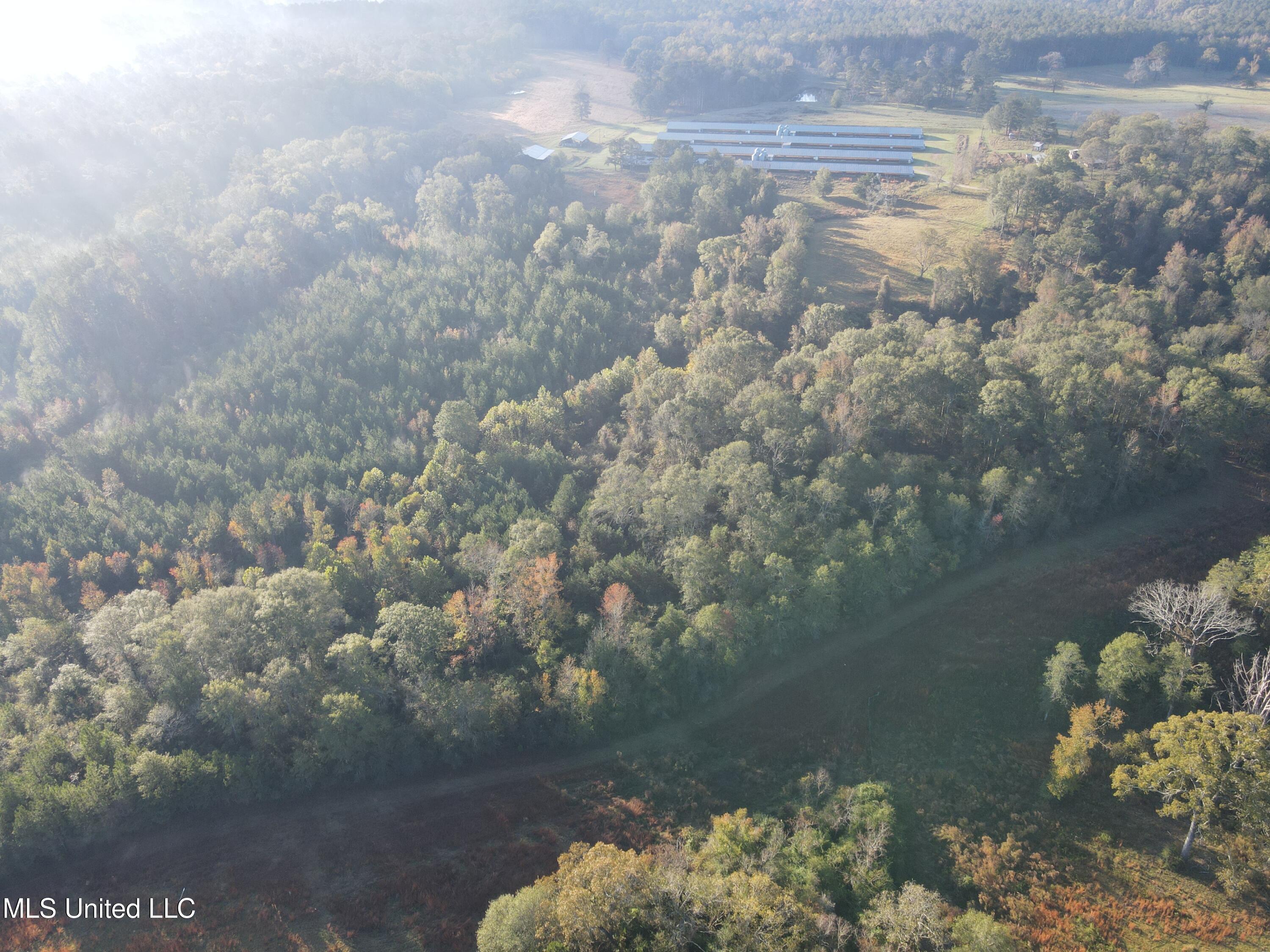 Highway 568, Magnolia, Mississippi image 4