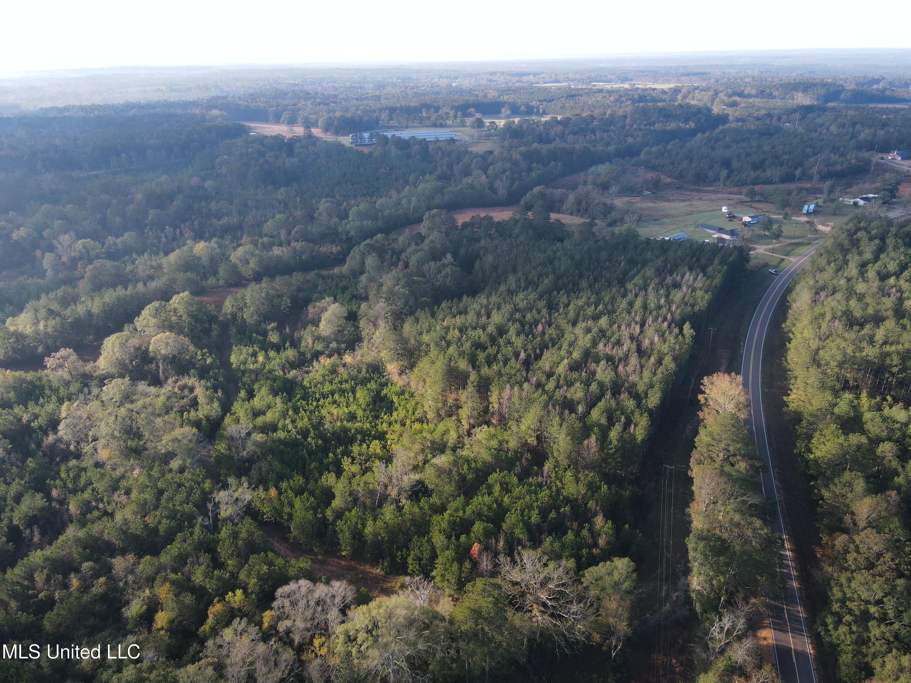 Highway 568, Magnolia, Mississippi image 8