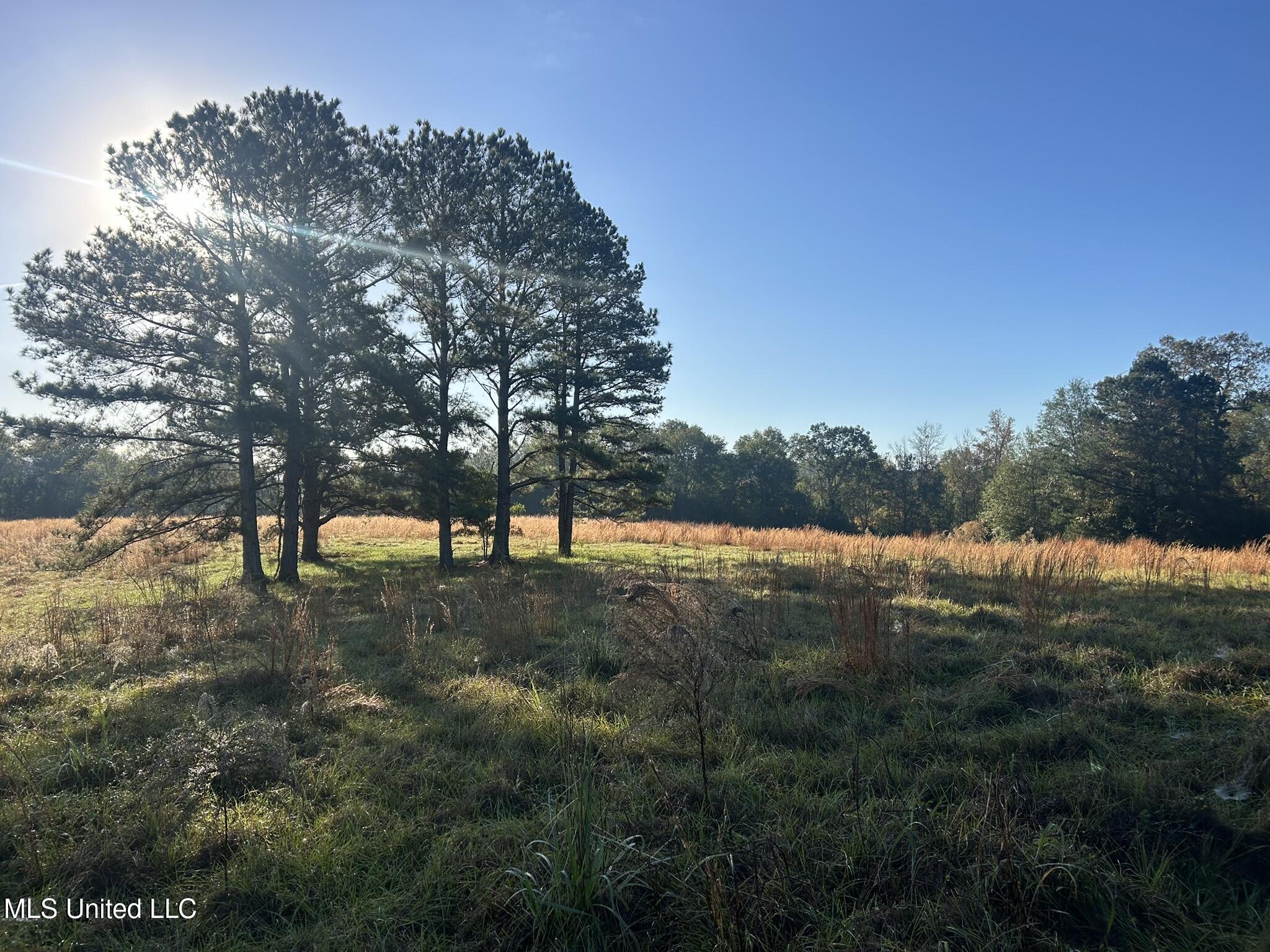 Highway 568, Magnolia, Mississippi image 14