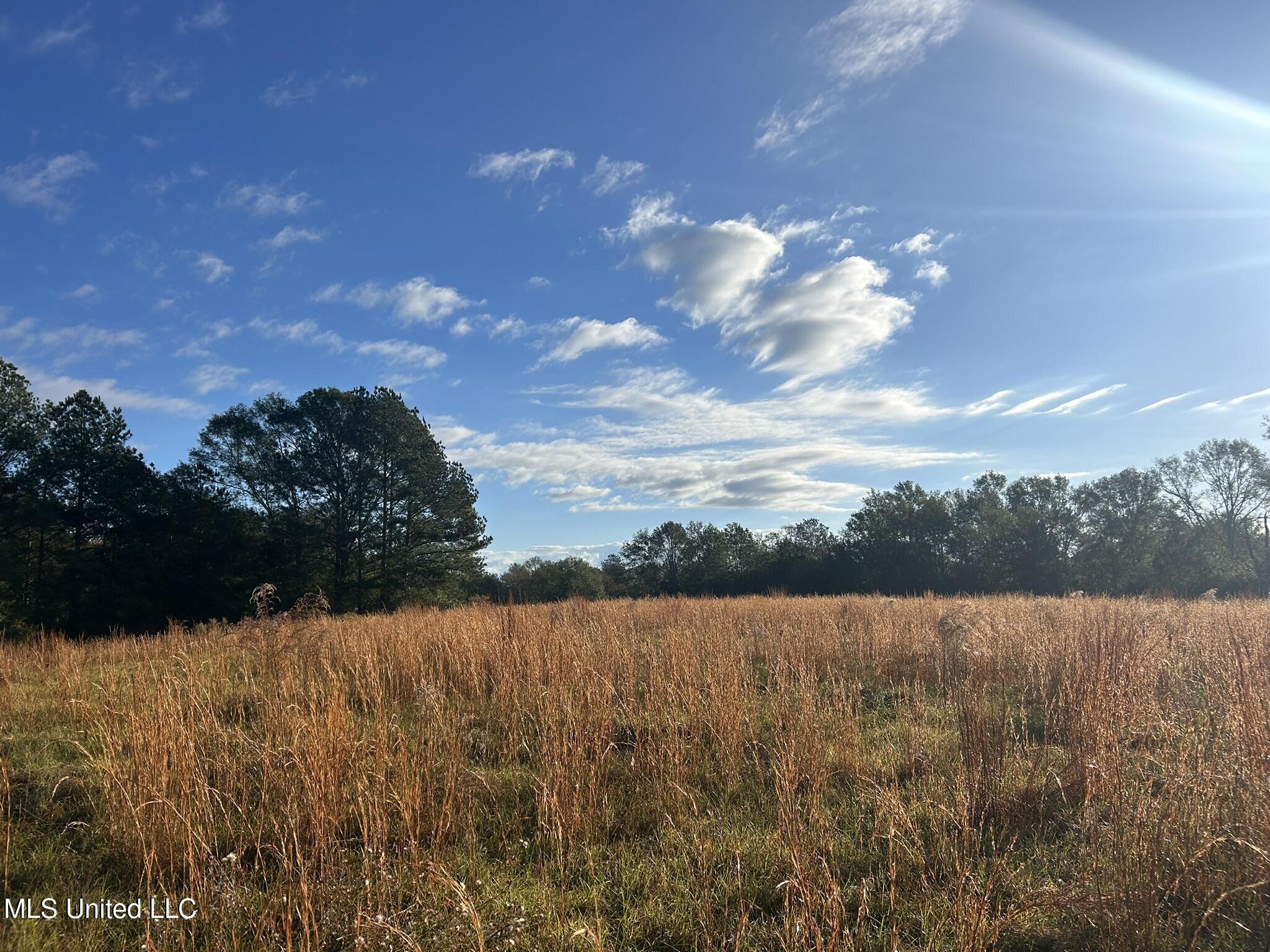 Highway 568, Magnolia, Mississippi image 16