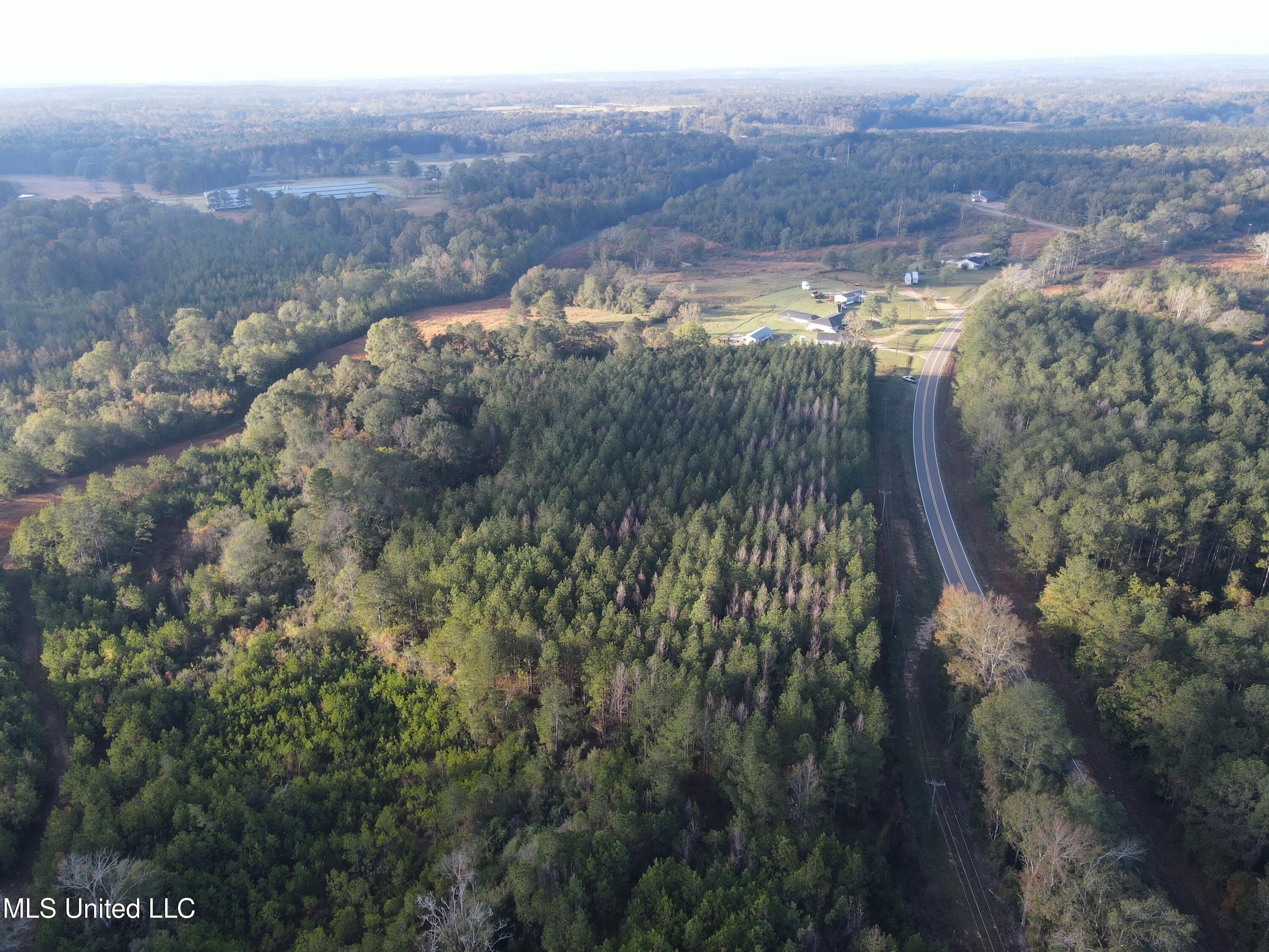 Highway 568, Magnolia, Mississippi image 7