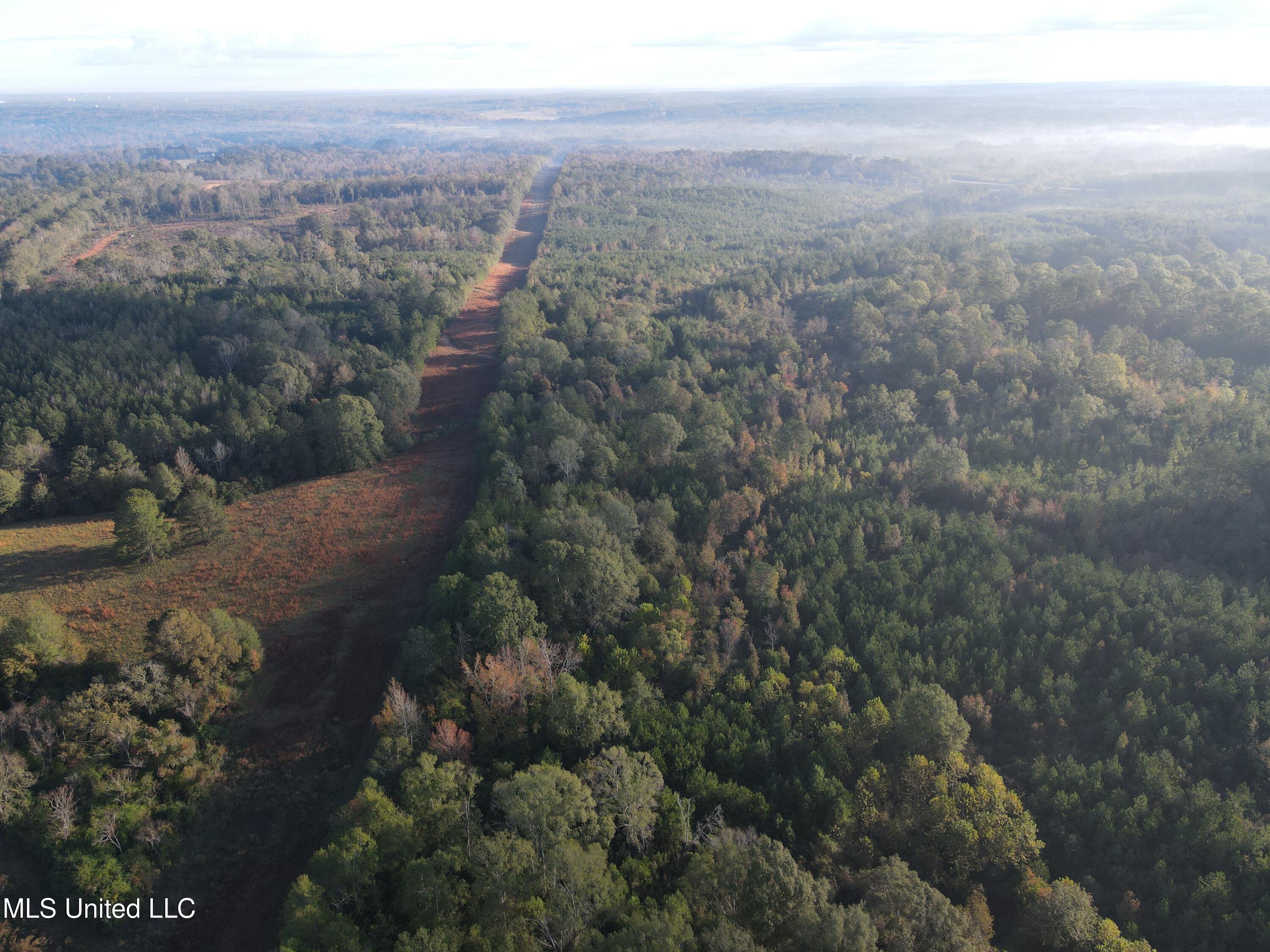 Highway 568, Magnolia, Mississippi image 6