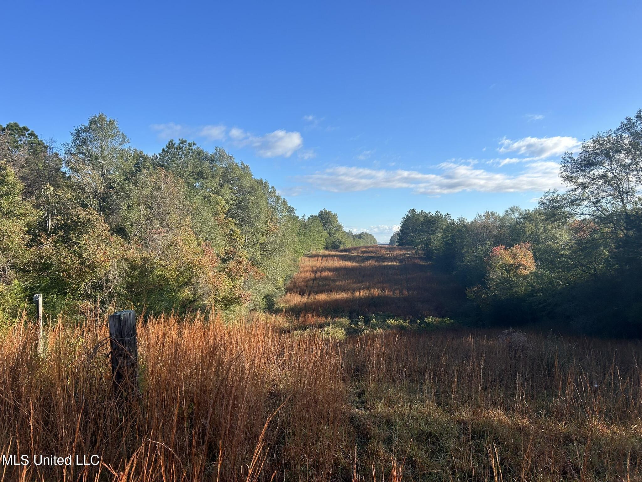 Highway 568, Magnolia, Mississippi image 20