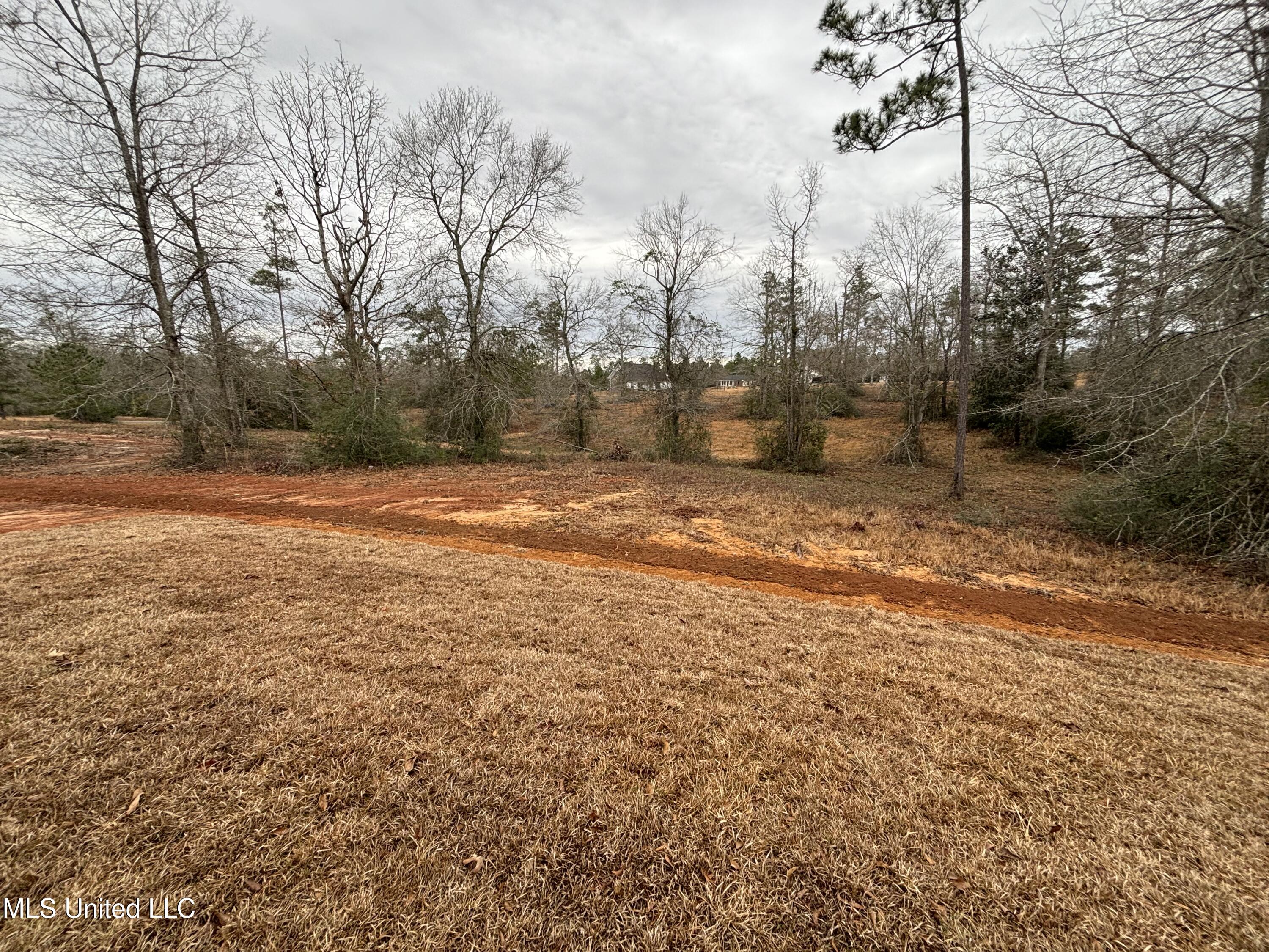 10 W Harmony Drive, Carriere, Mississippi image 48