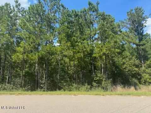 Clear Lake - Lot 5 Road, Perkinston, Mississippi image 1