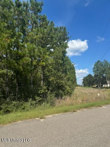 Clear Lake - Lot 5 Road, Perkinston, Mississippi image 2