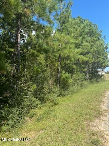 Clear Lake - Lot 5 Road, Perkinston, Mississippi image 3