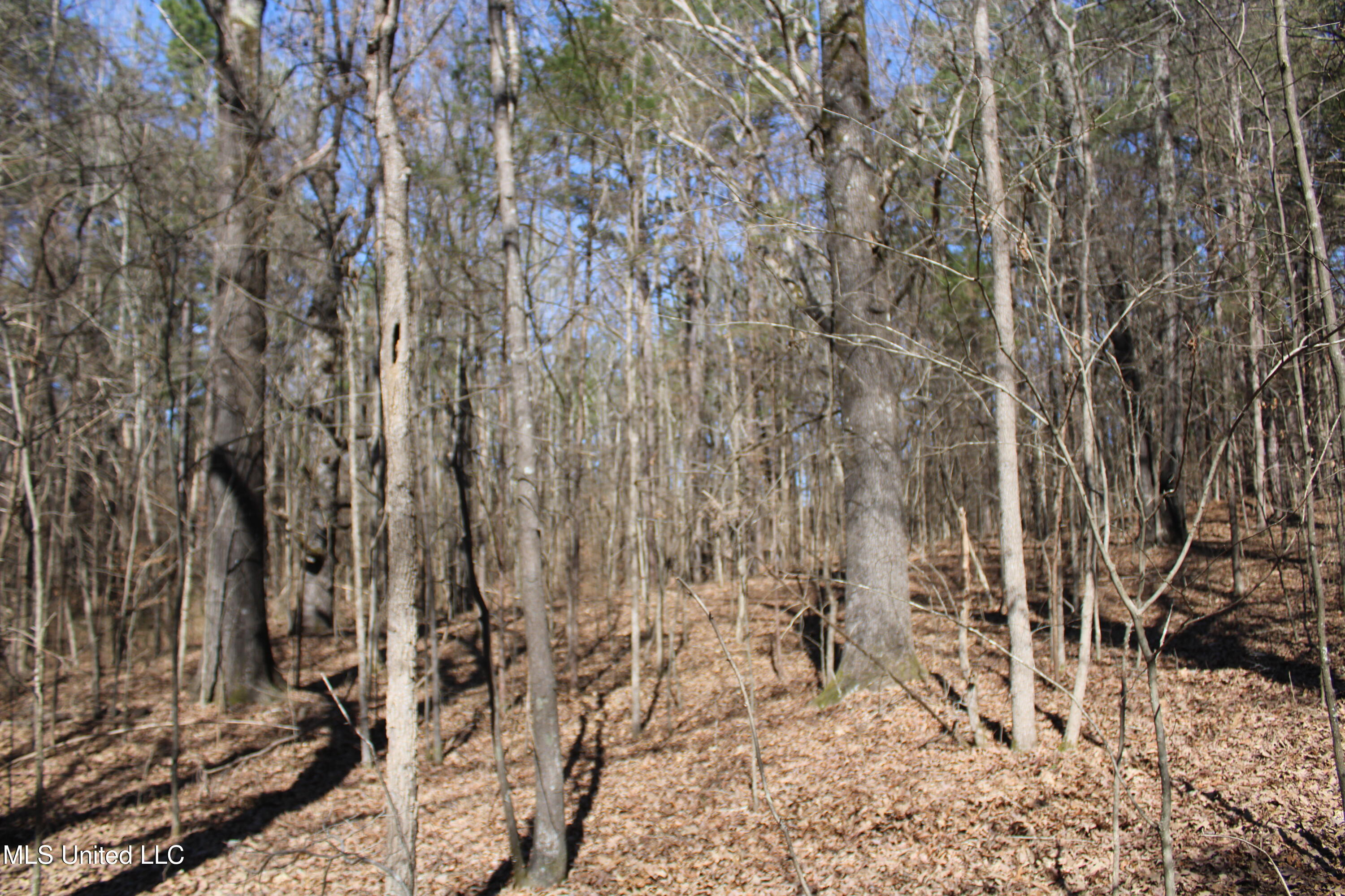 Highwoods Drive, Byhalia, Mississippi image 18