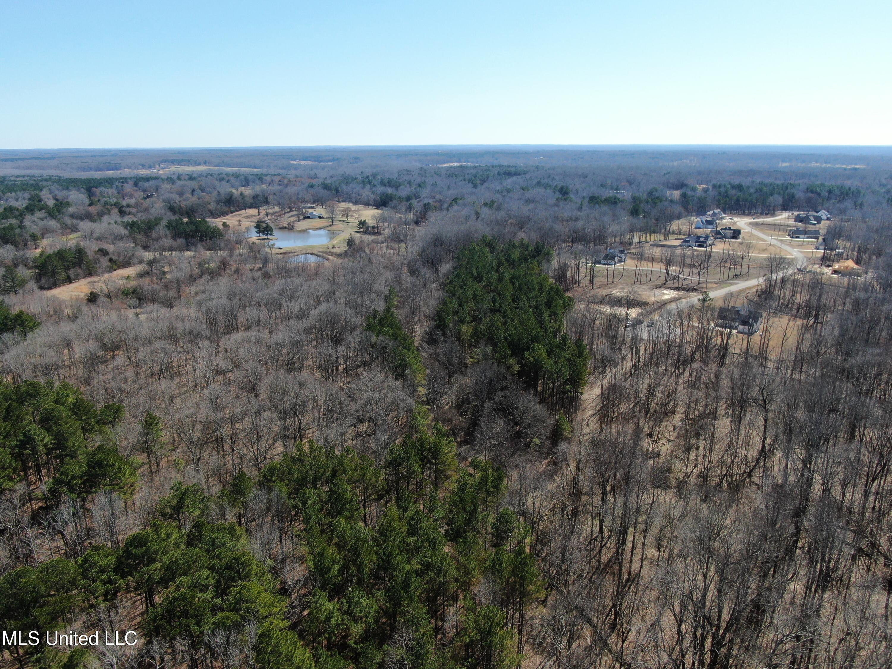Highwoods Drive, Byhalia, Mississippi image 11