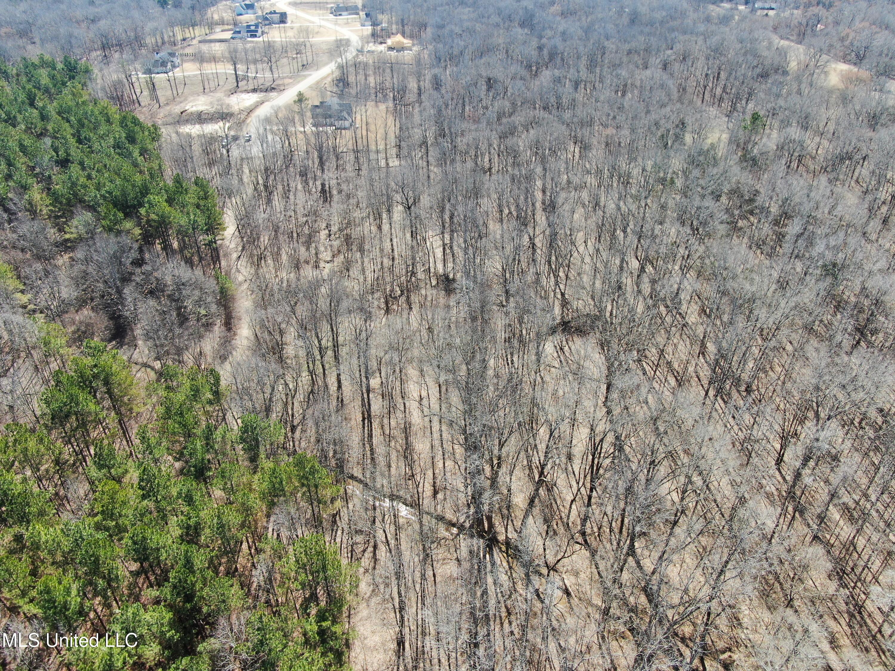 Highwoods Drive, Byhalia, Mississippi image 8