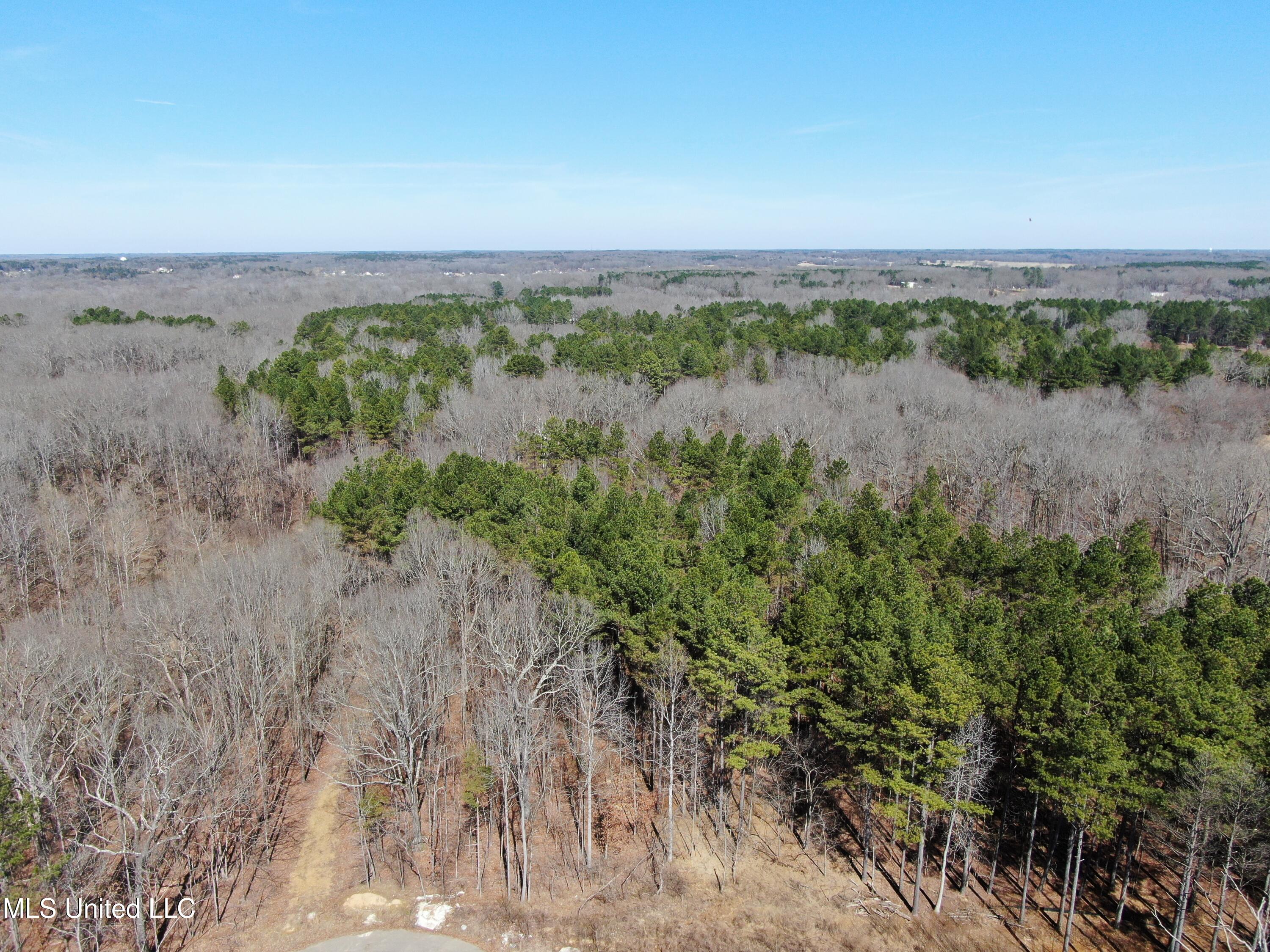 Highwoods Drive, Byhalia, Mississippi image 3