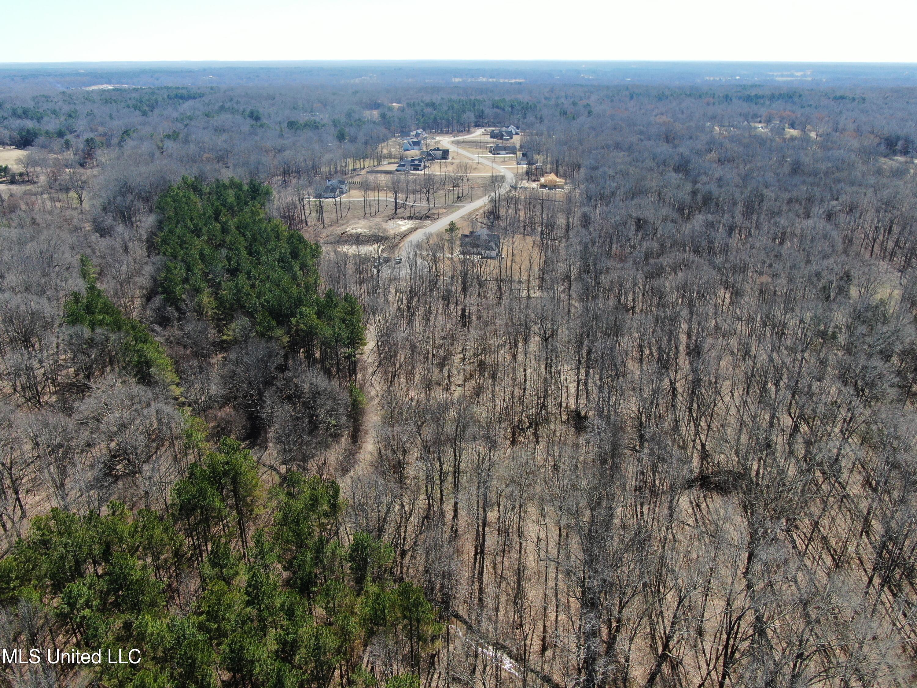 Highwoods Drive, Byhalia, Mississippi image 7