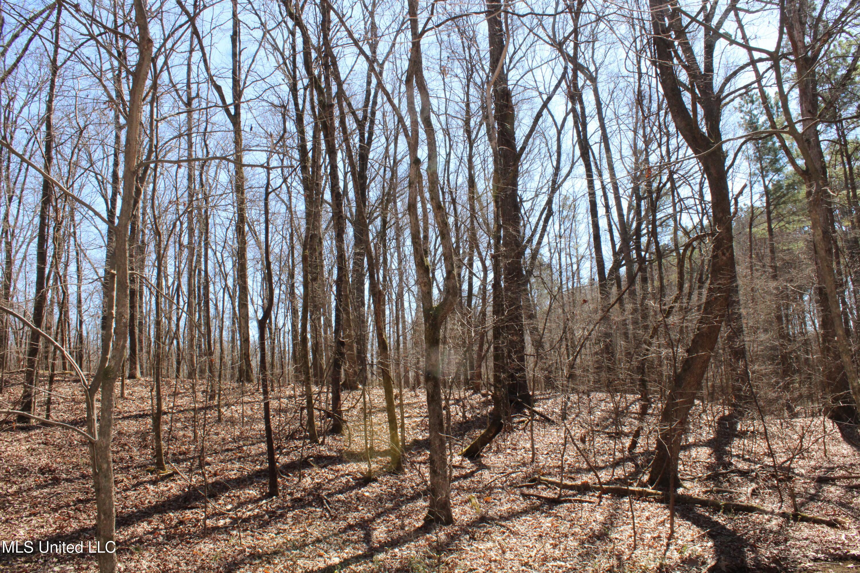 Highwoods Drive, Byhalia, Mississippi image 30