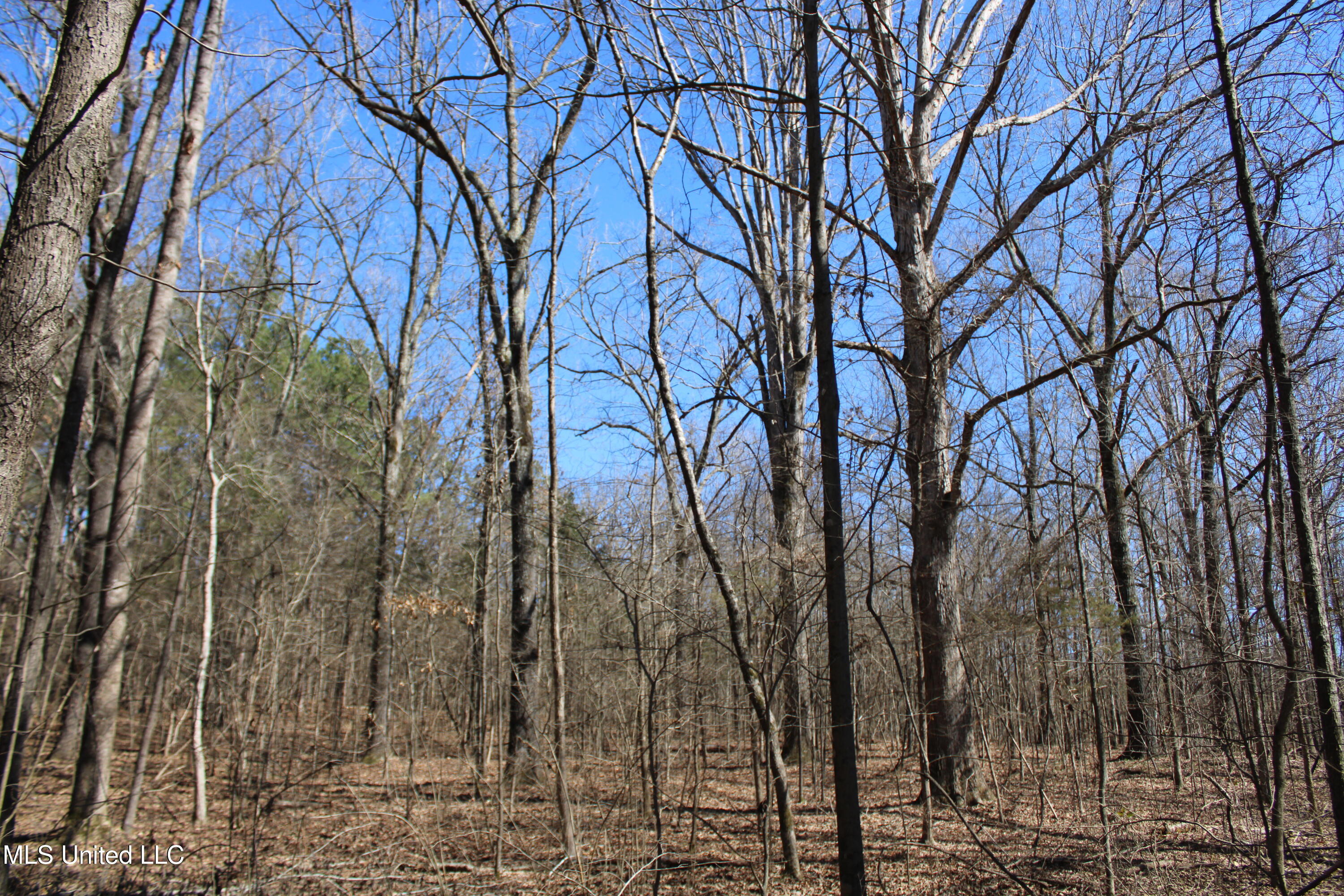 Highwoods Drive, Byhalia, Mississippi image 17