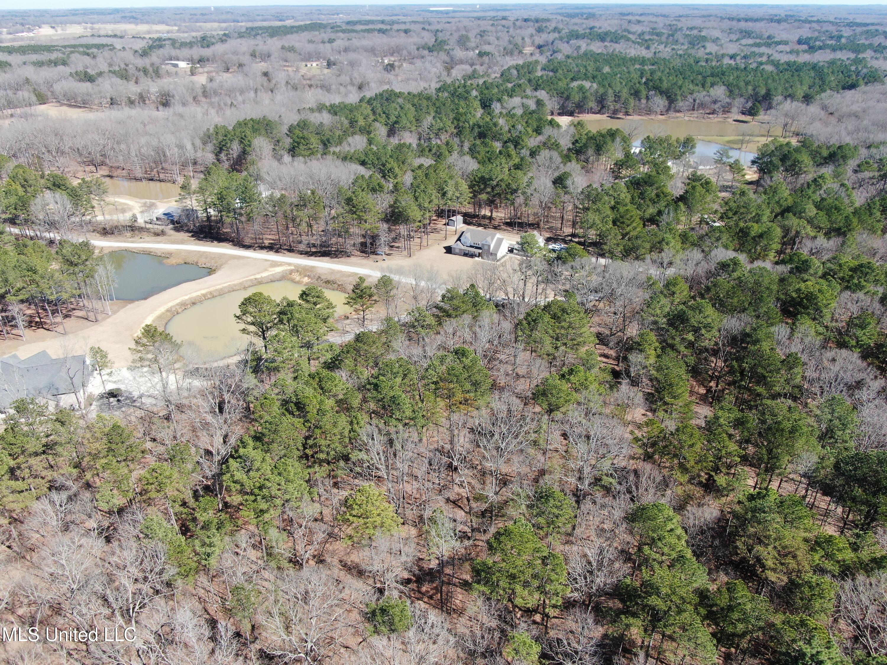 Highwoods Drive, Byhalia, Mississippi image 10