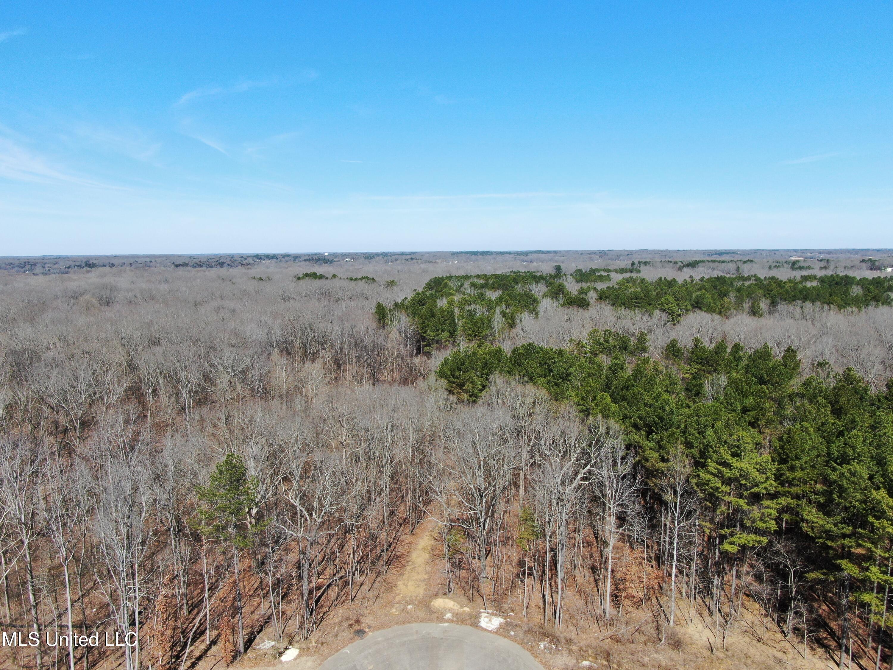 Highwoods Drive, Byhalia, Mississippi image 2