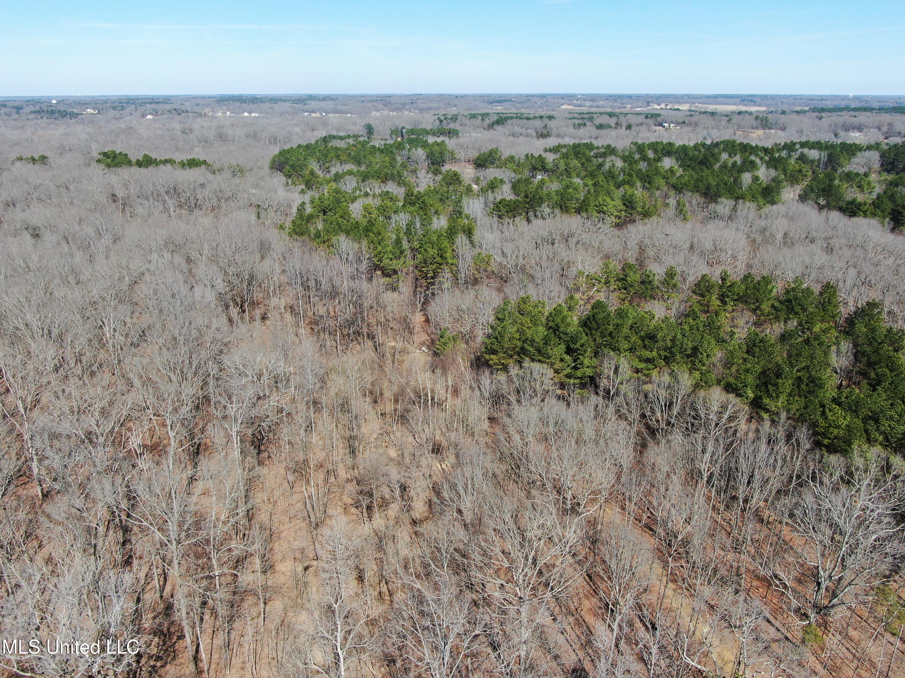 Highwoods Drive, Byhalia, Mississippi image 5
