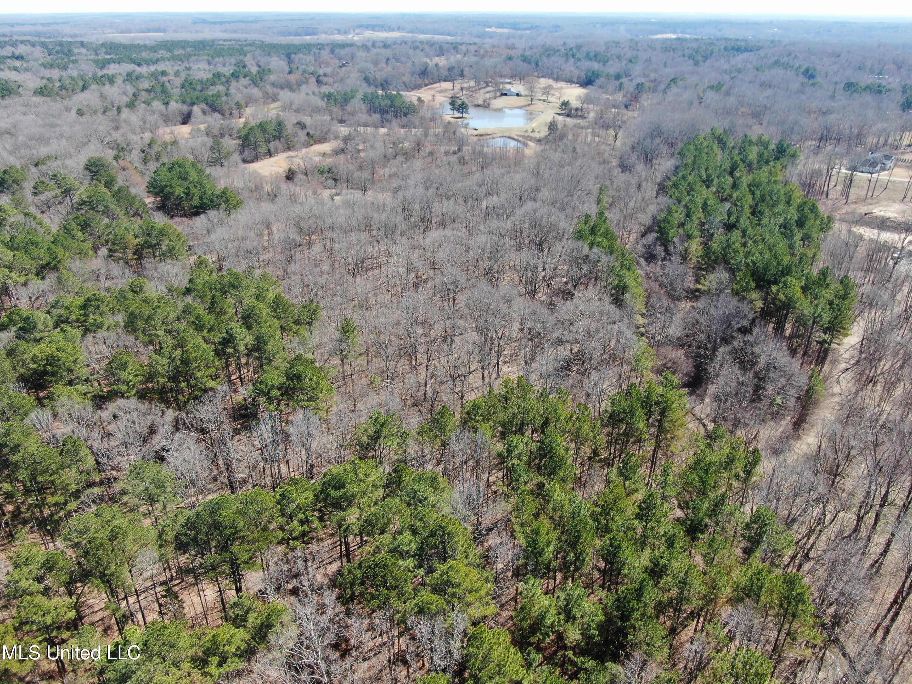 Highwoods Drive, Byhalia, Mississippi image 9