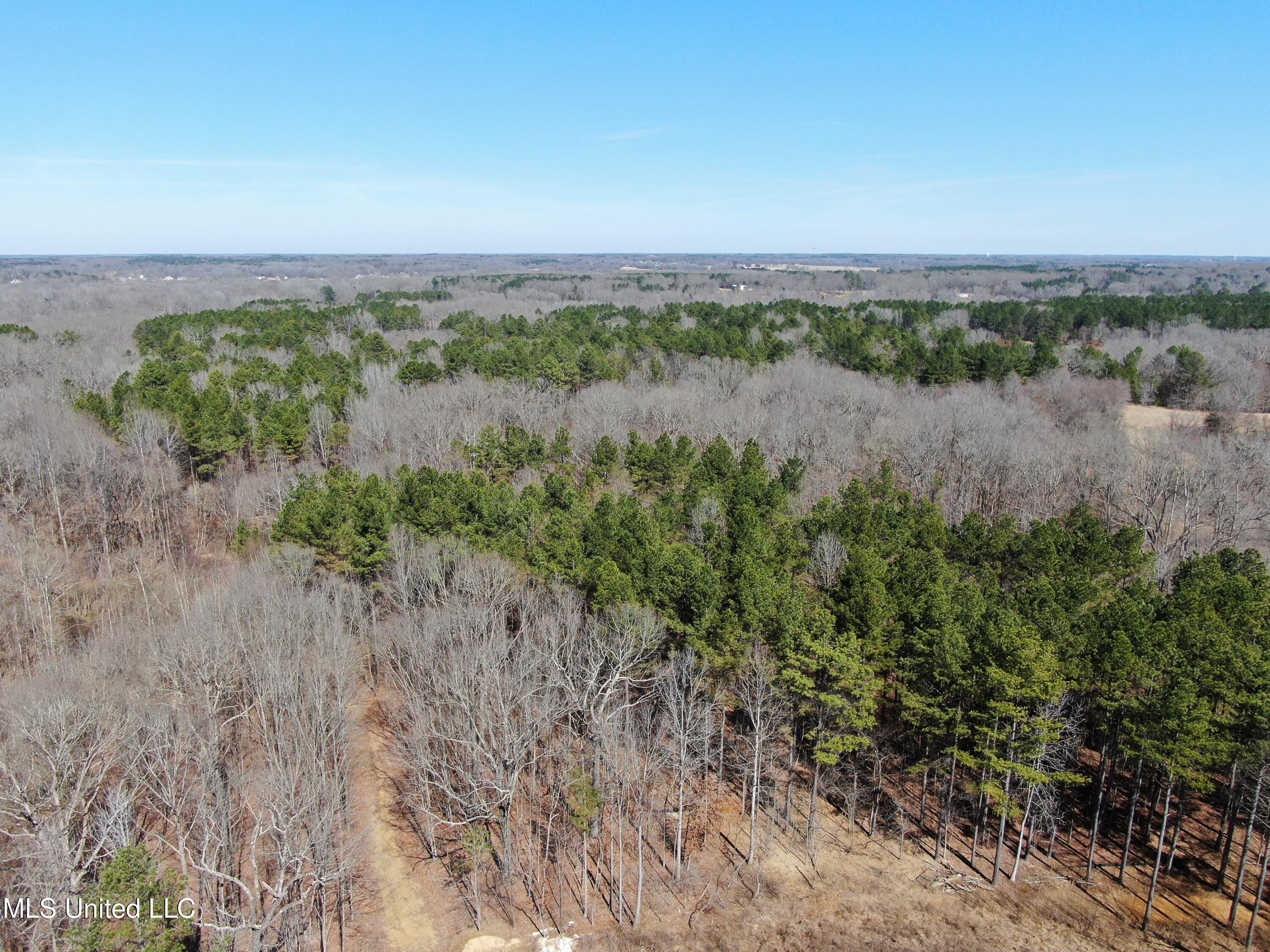Highwoods Drive, Byhalia, Mississippi image 4