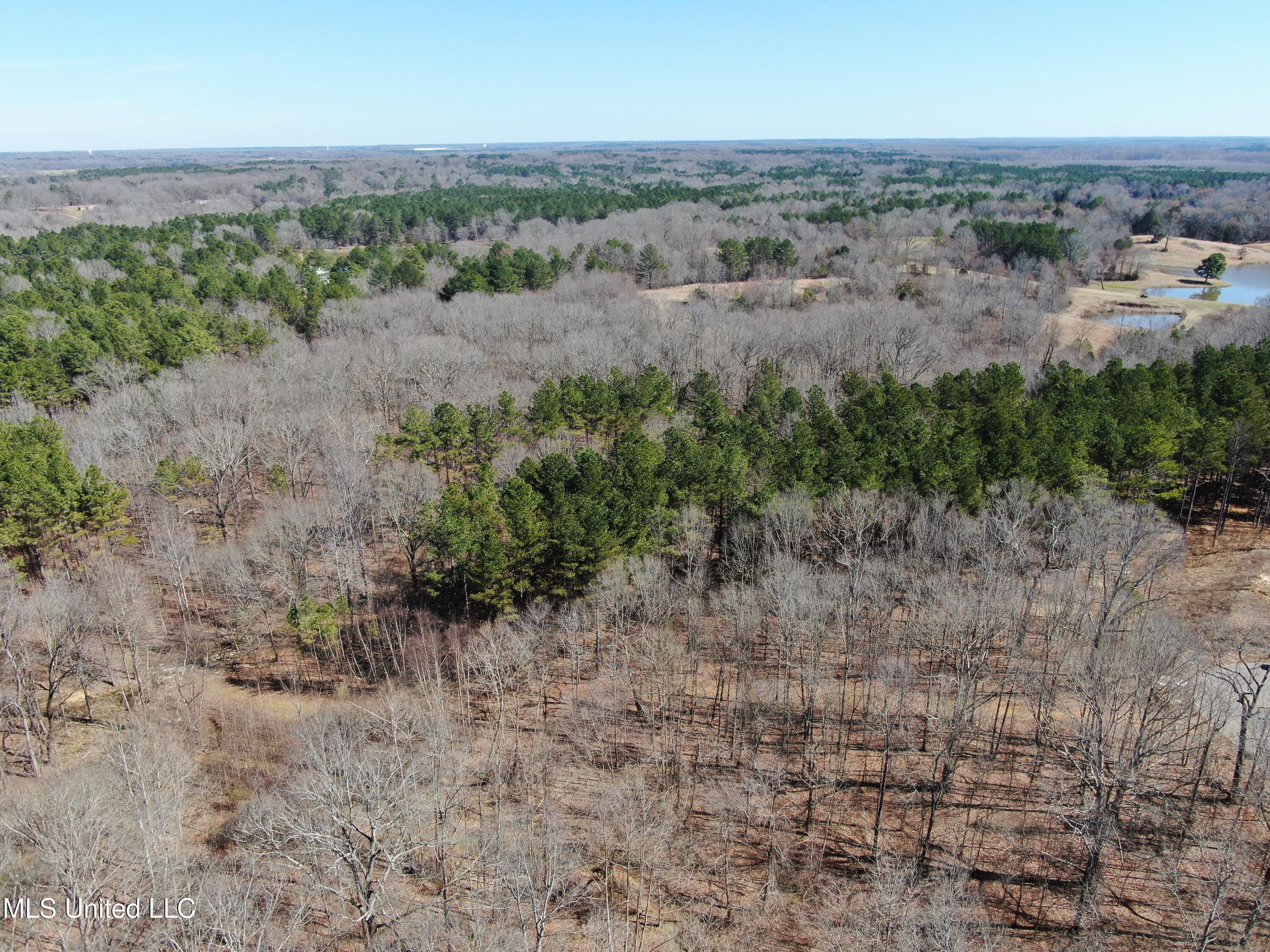 Highwoods Drive, Byhalia, Mississippi image 6