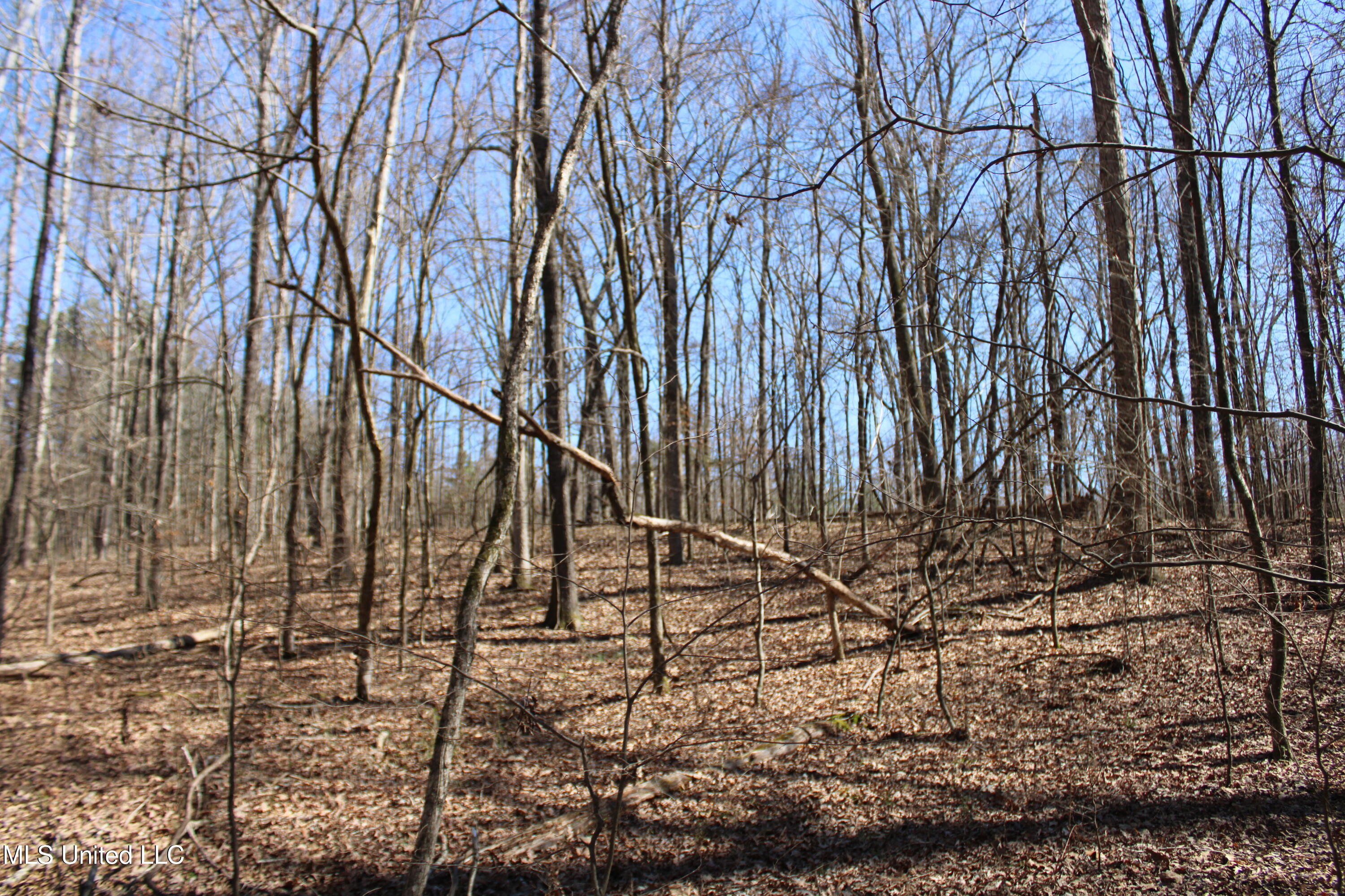 Highwoods Drive, Byhalia, Mississippi image 19