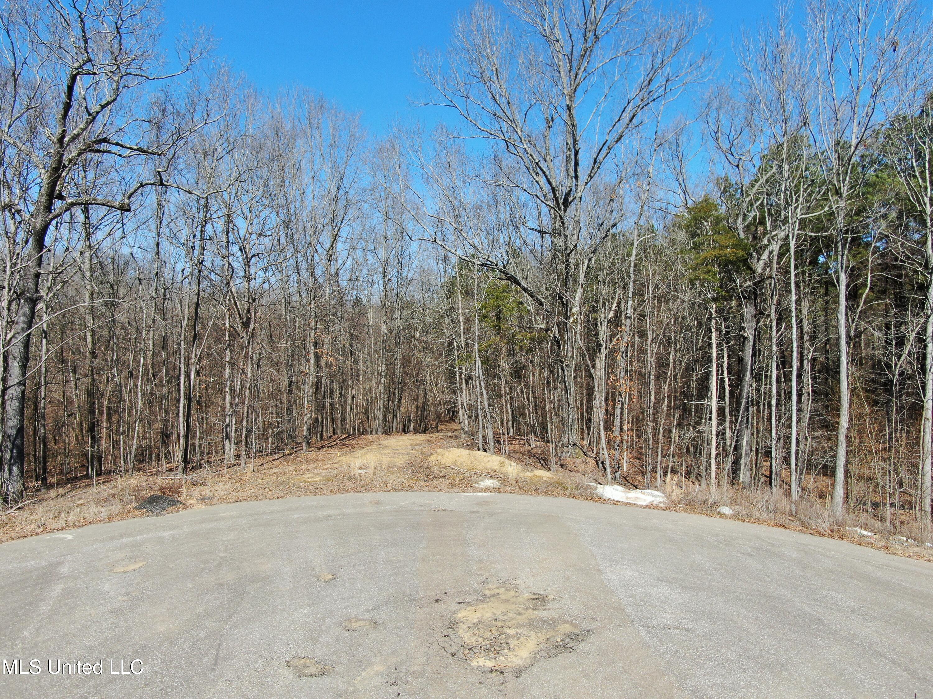Highwoods Drive, Byhalia, Mississippi image 1