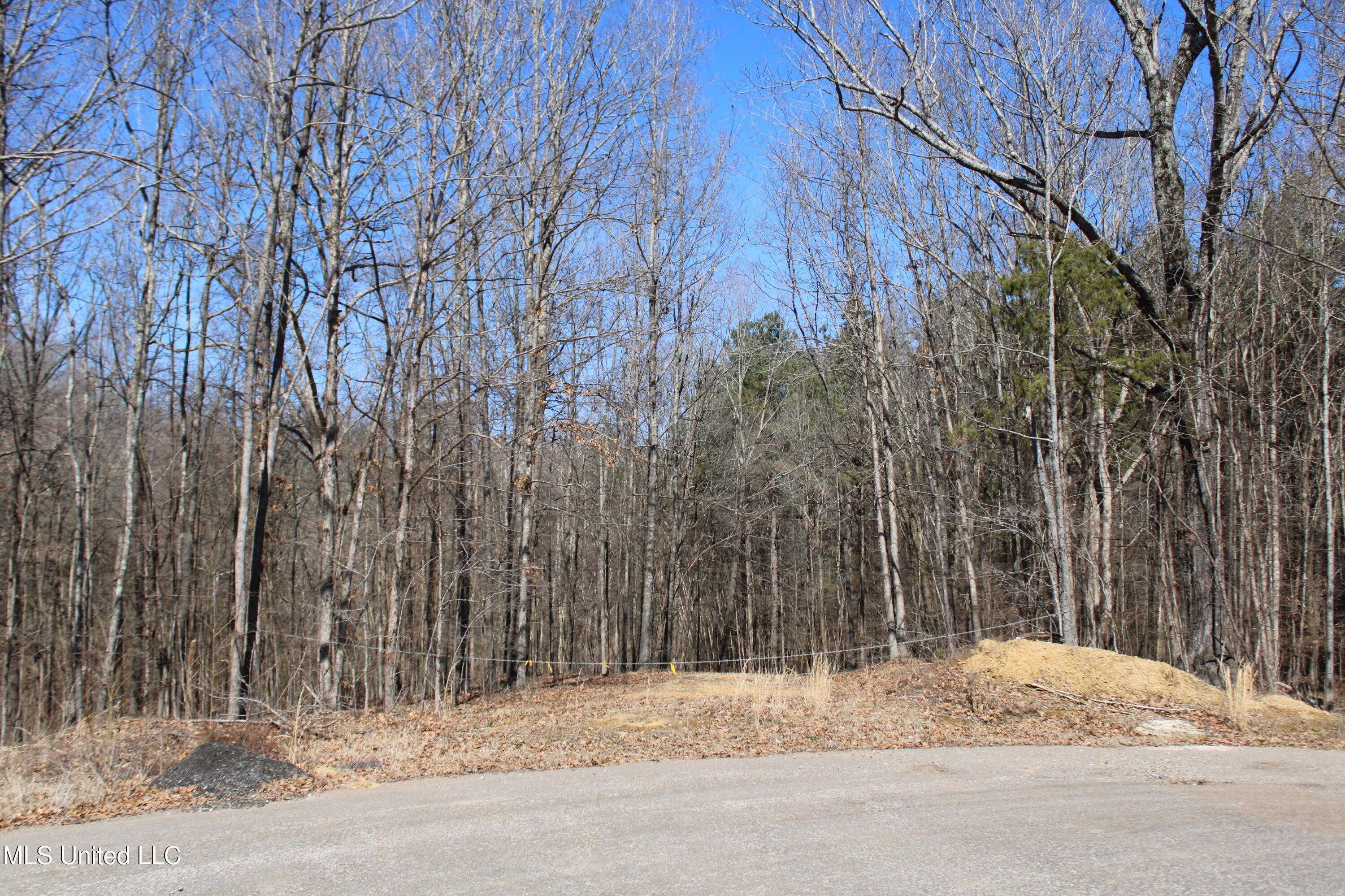 Highwoods Drive, Byhalia, Mississippi image 27