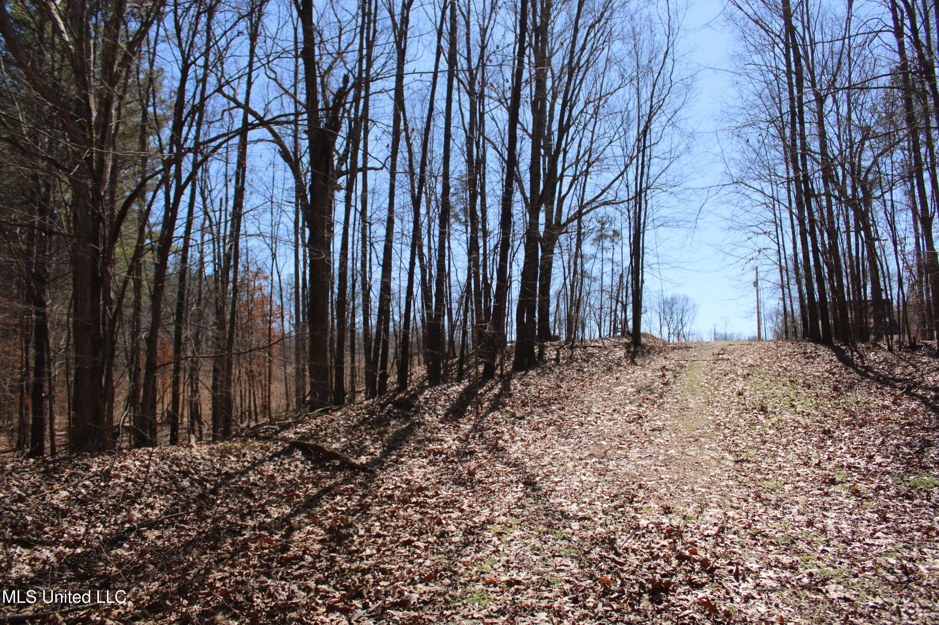 Highwoods Drive, Byhalia, Mississippi image 29