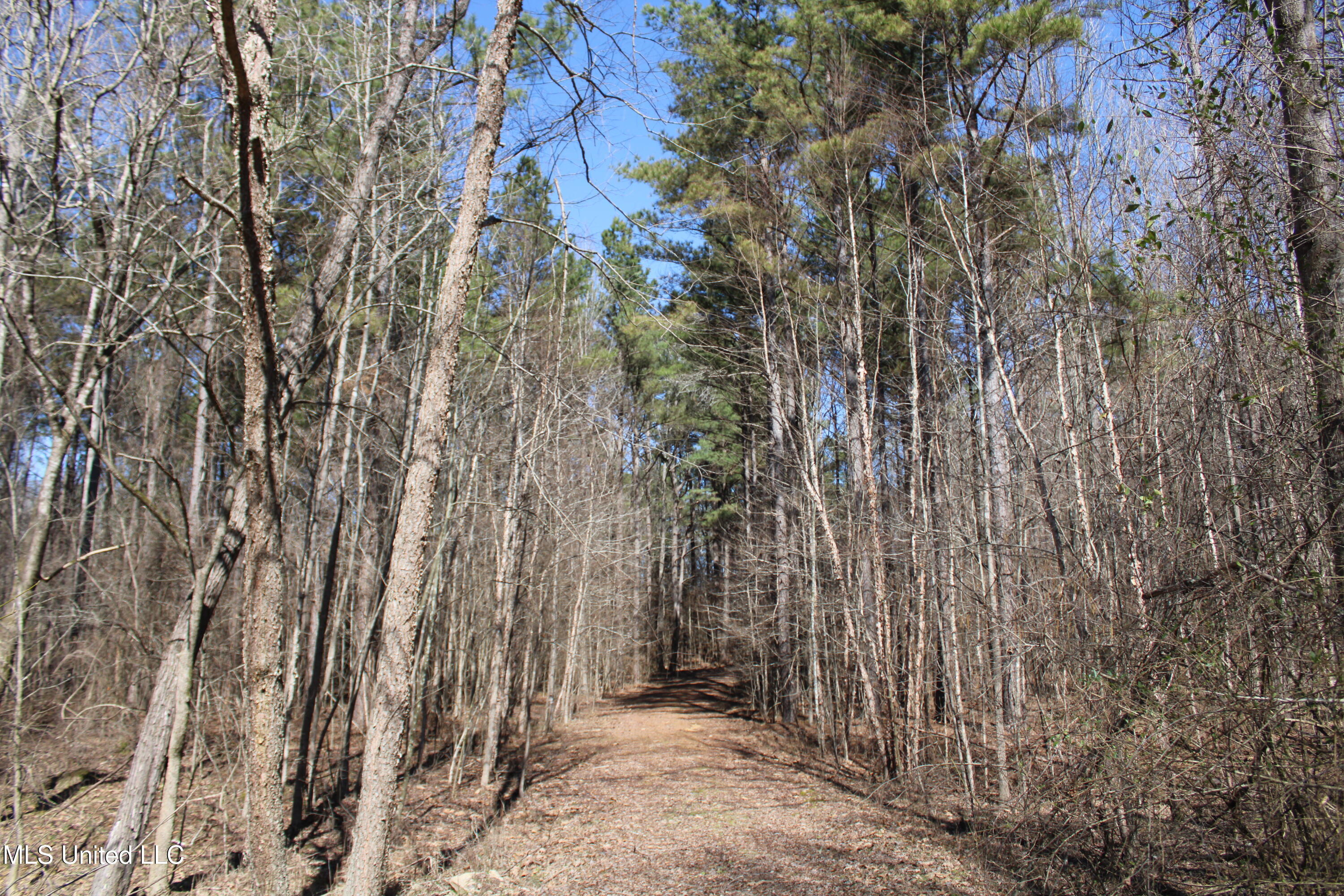Highwoods Drive, Byhalia, Mississippi image 15